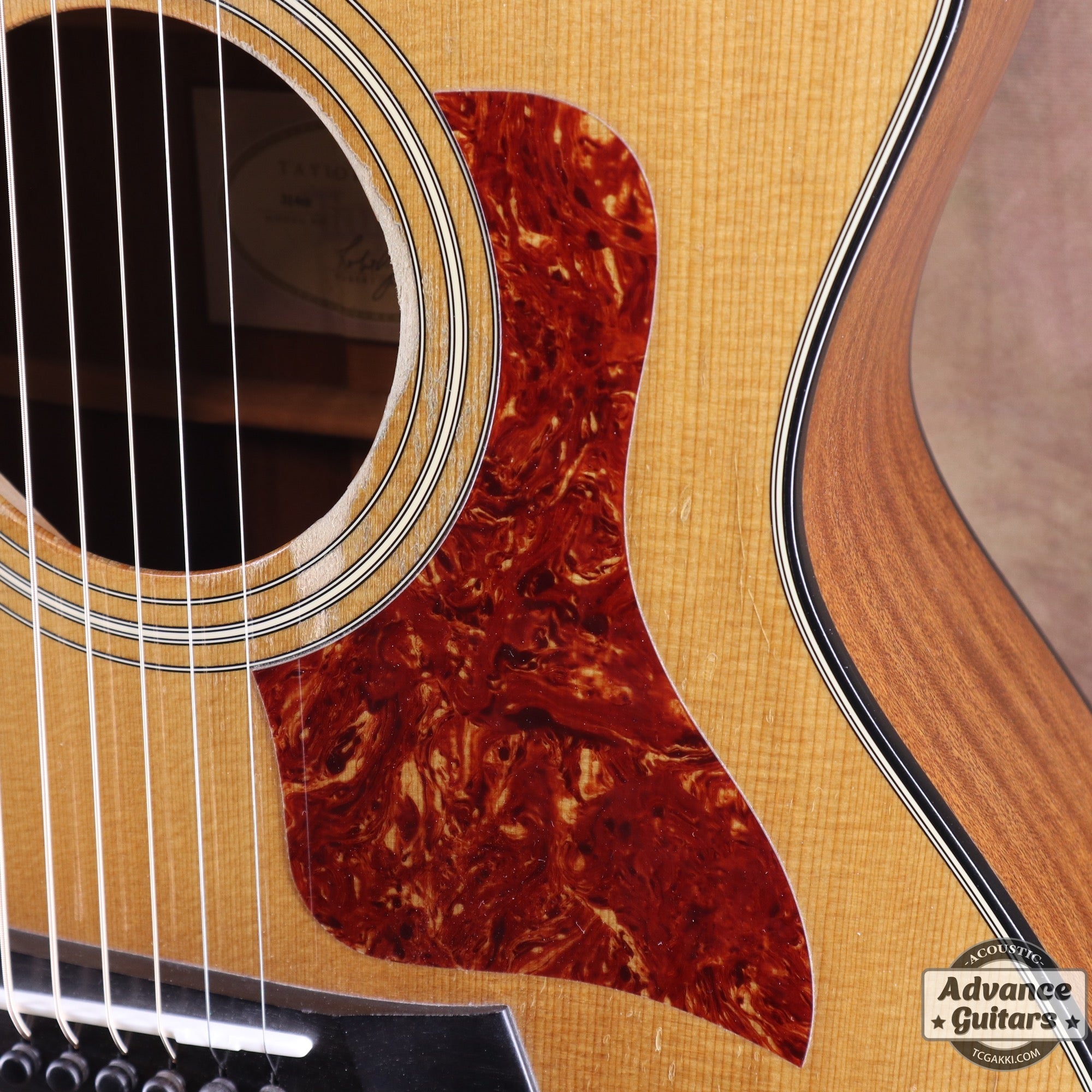 2010 314ce - TC楽器 - TCGAKKI