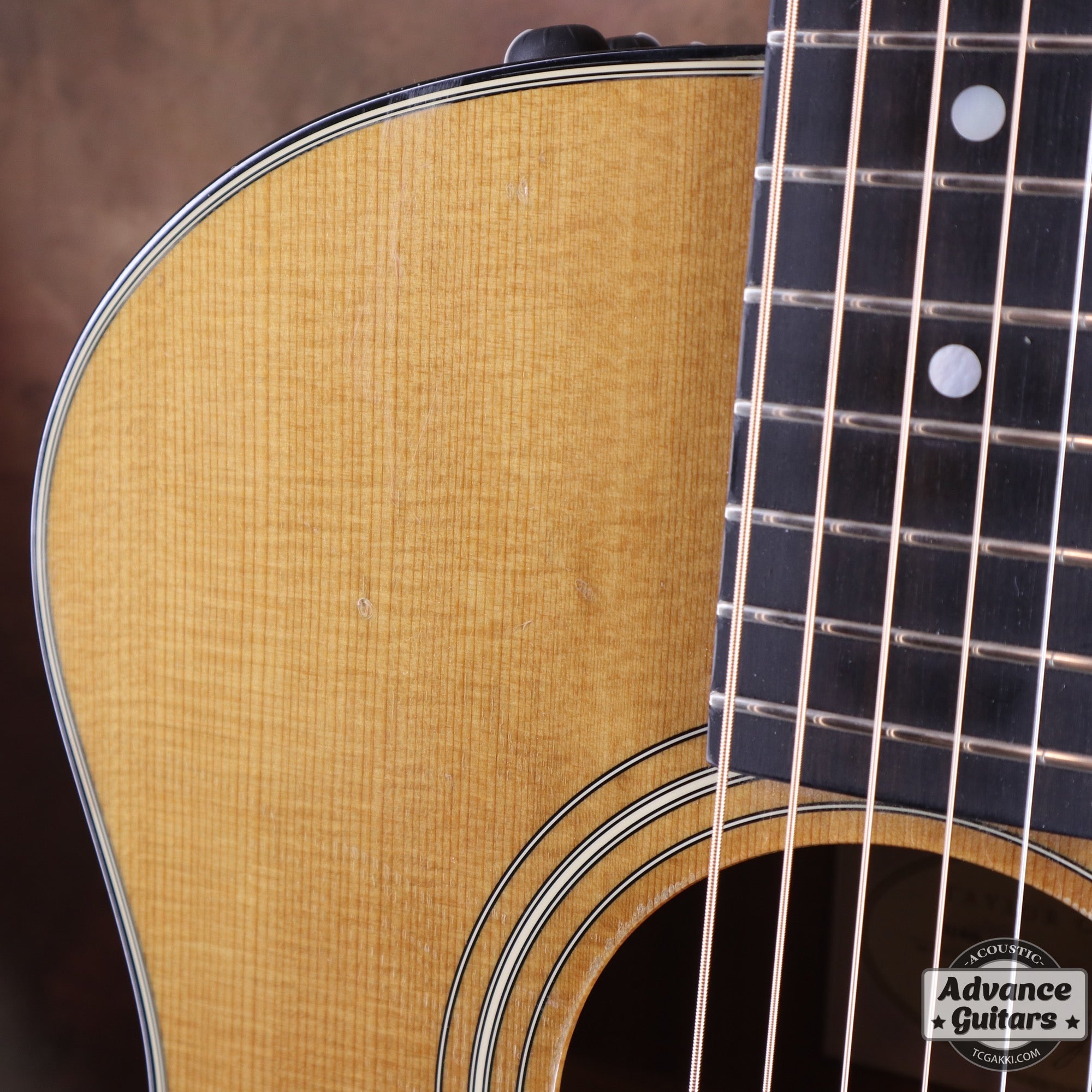 2010 314ce - TC楽器 - TCGAKKI