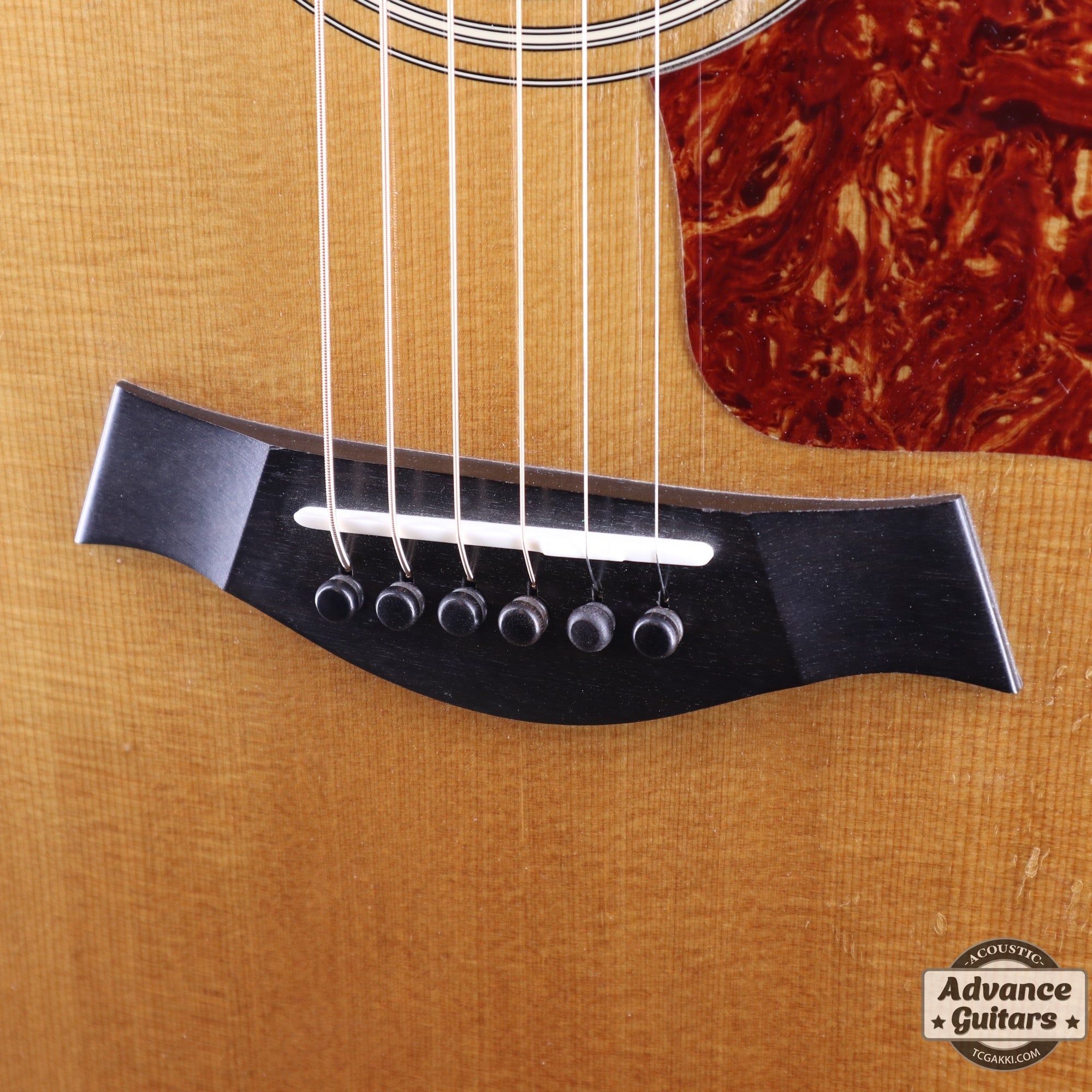 2010 314ce - TC楽器 - TCGAKKI