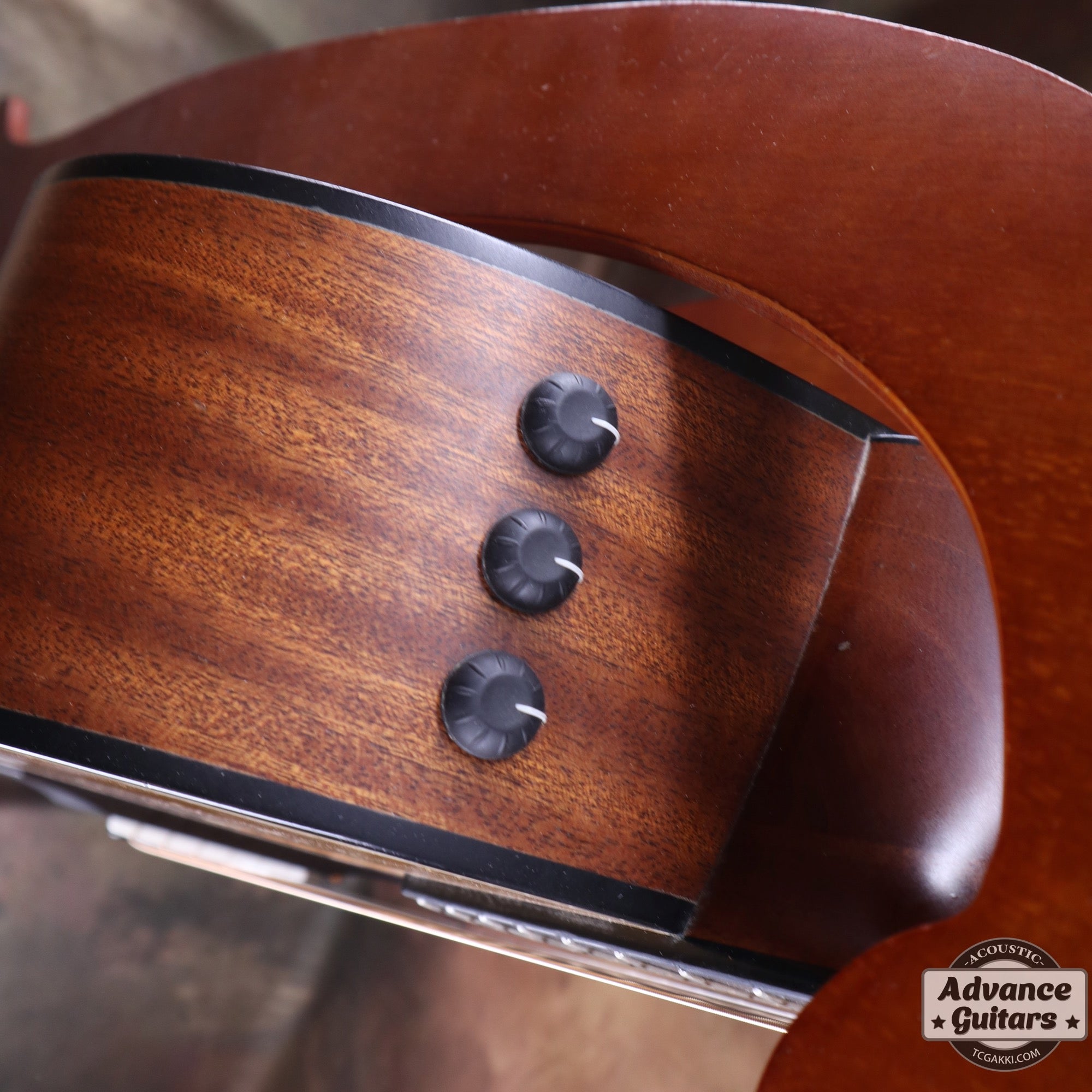 2010 314ce - TC楽器 - TCGAKKI