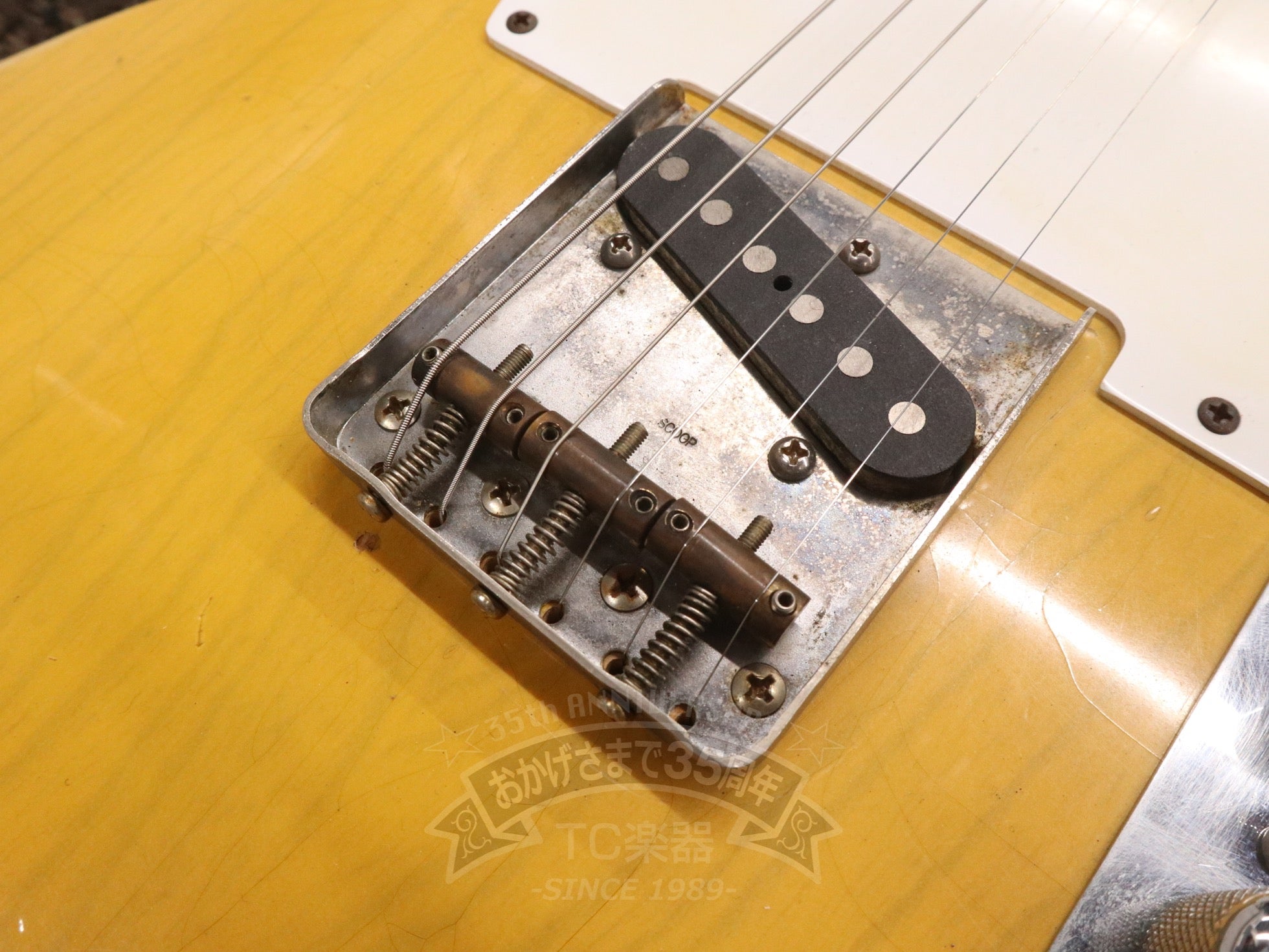 2010 55 - TL Medium Aged - TC楽器 - TCGAKKI