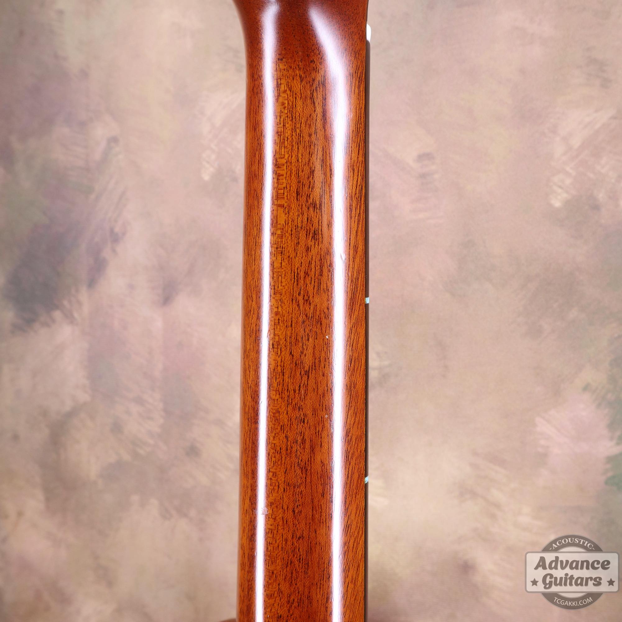 2010年製 Grace - TC楽器 - TCGAKKI