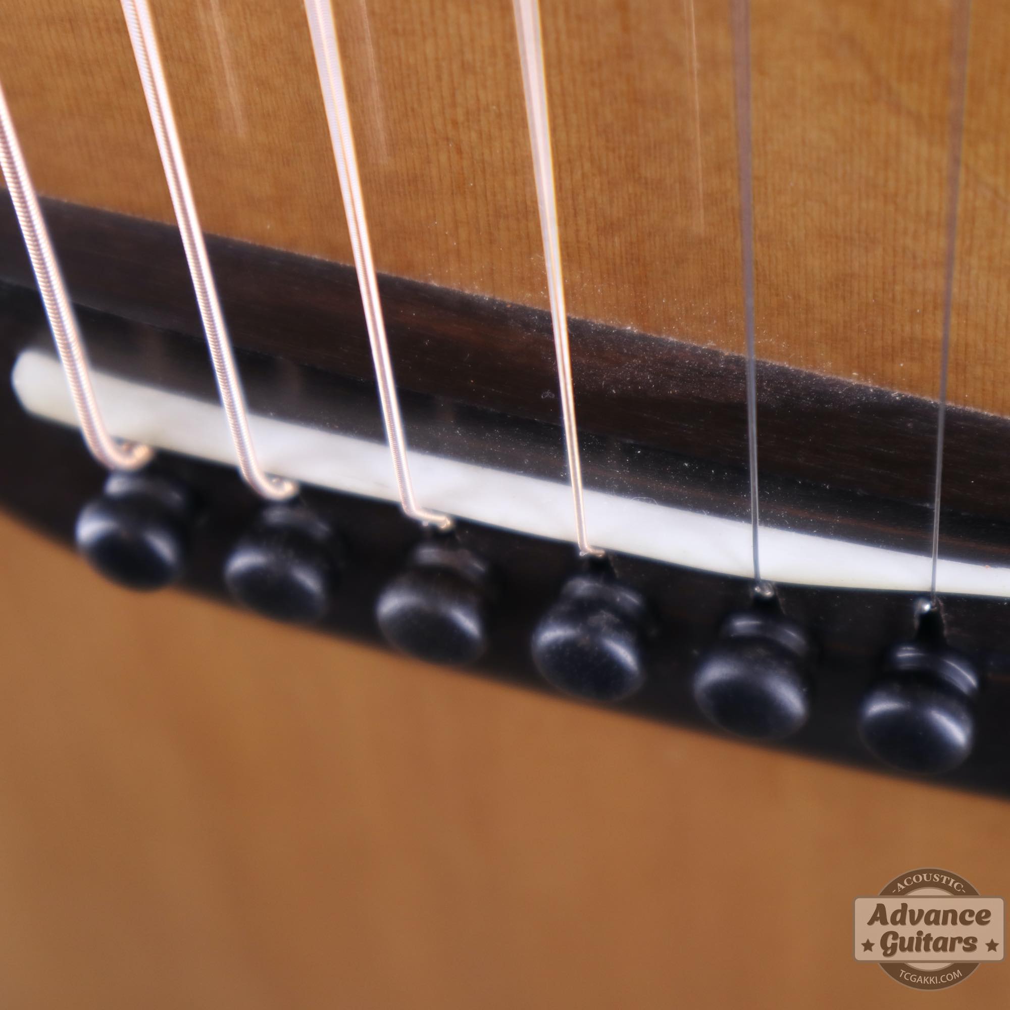 2010年製 Grace - TC楽器 - TCGAKKI