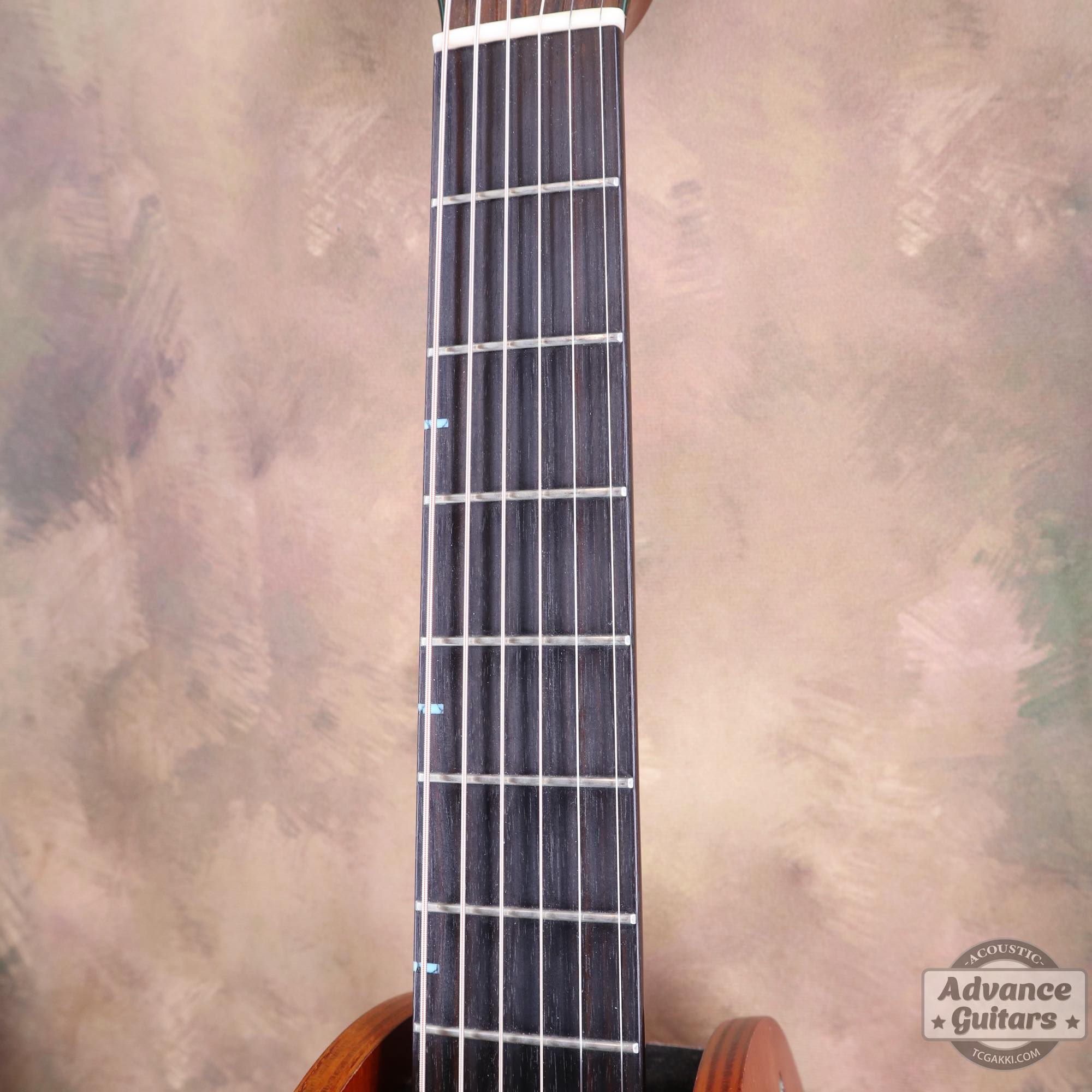 2010年製 Grace - TC楽器 - TCGAKKI