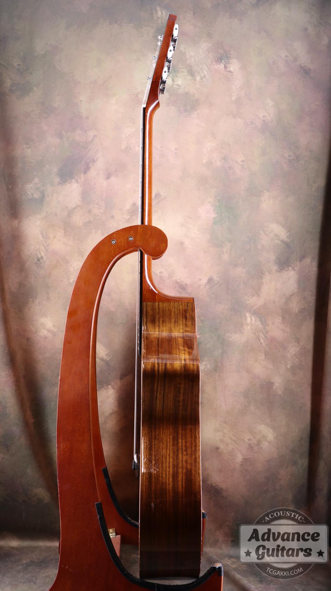 2010年製 Grace - TC楽器 - TCGAKKI