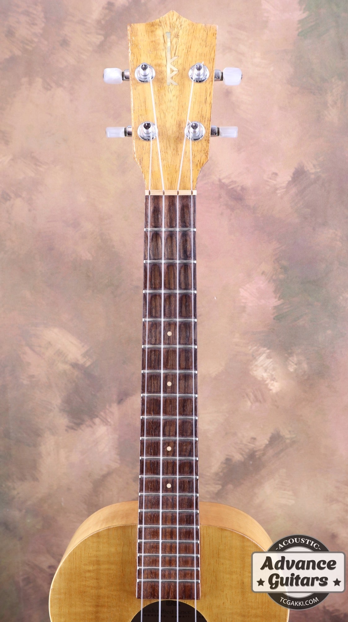 2010年製 HF - 3 - TC楽器 - TCGAKKI