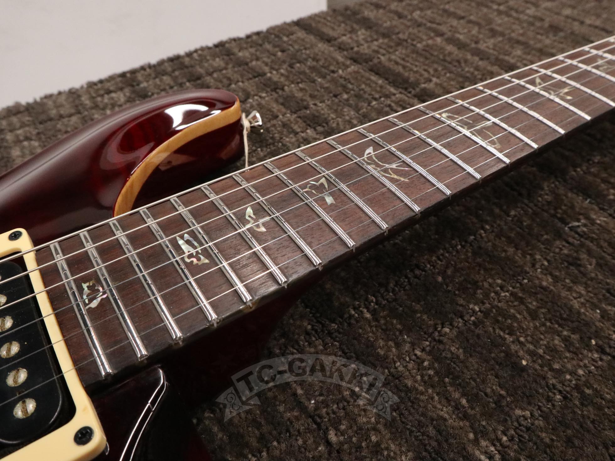 2011 Custom 24 - TC楽器 - TCGAKKI