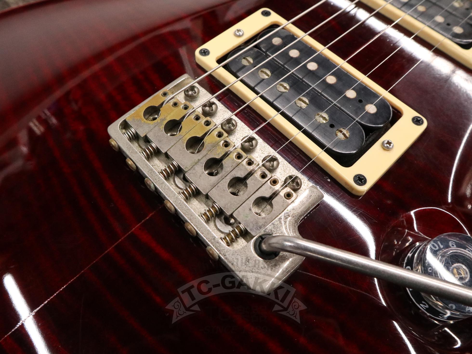 2011 Custom 24 - TC楽器 - TCGAKKI