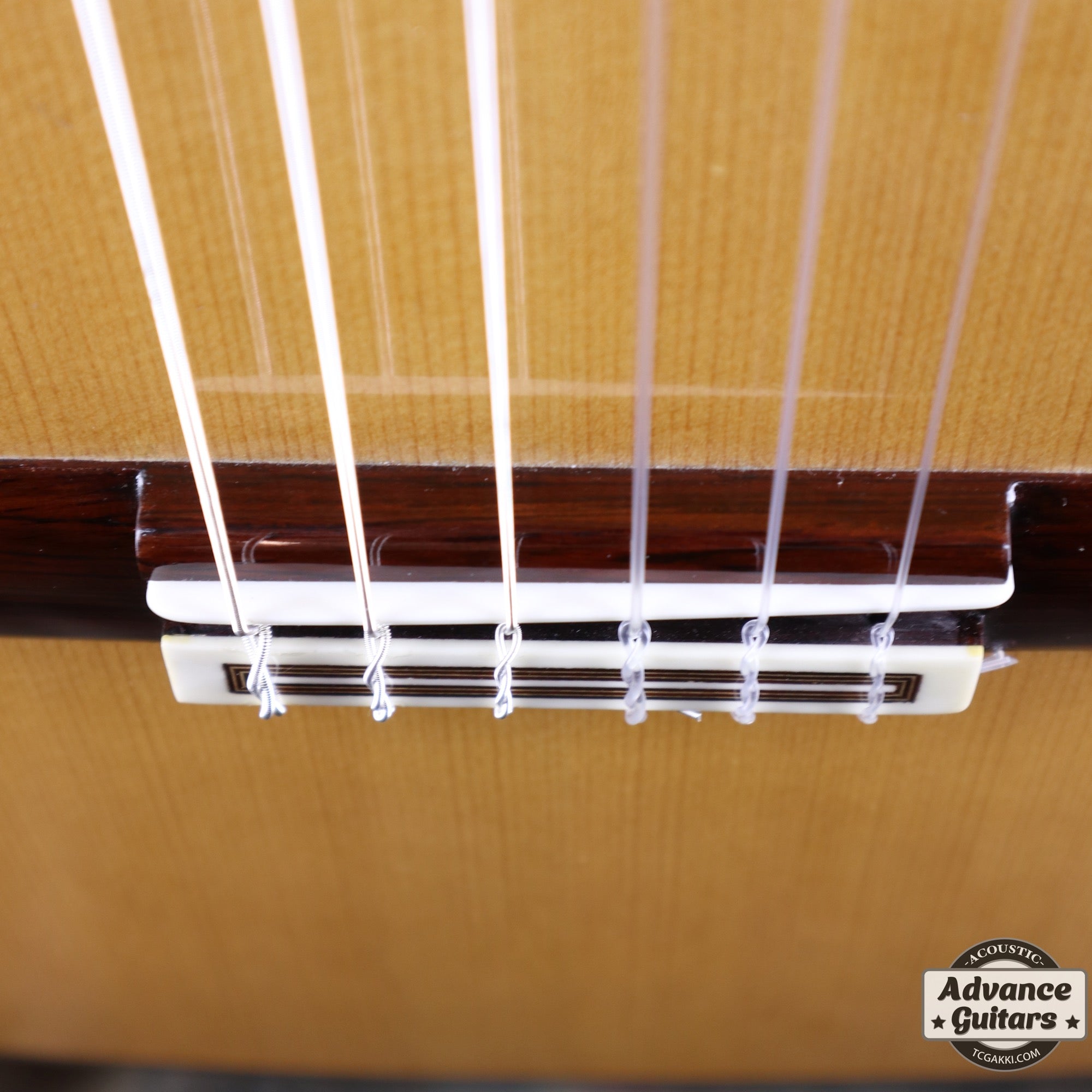 2011年製 Especial - TC楽器 - TCGAKKI