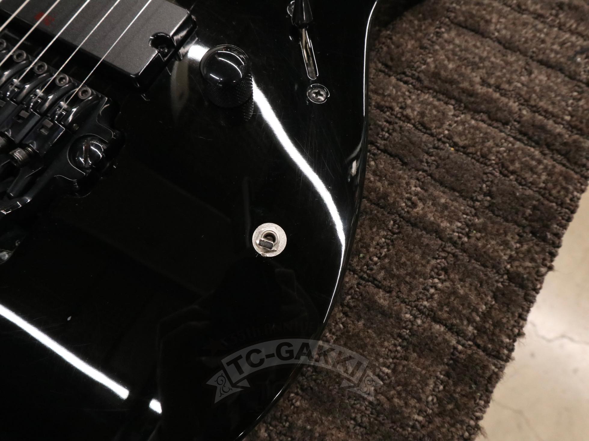 2011 RGA - 8 - TC楽器 - TCGAKKI