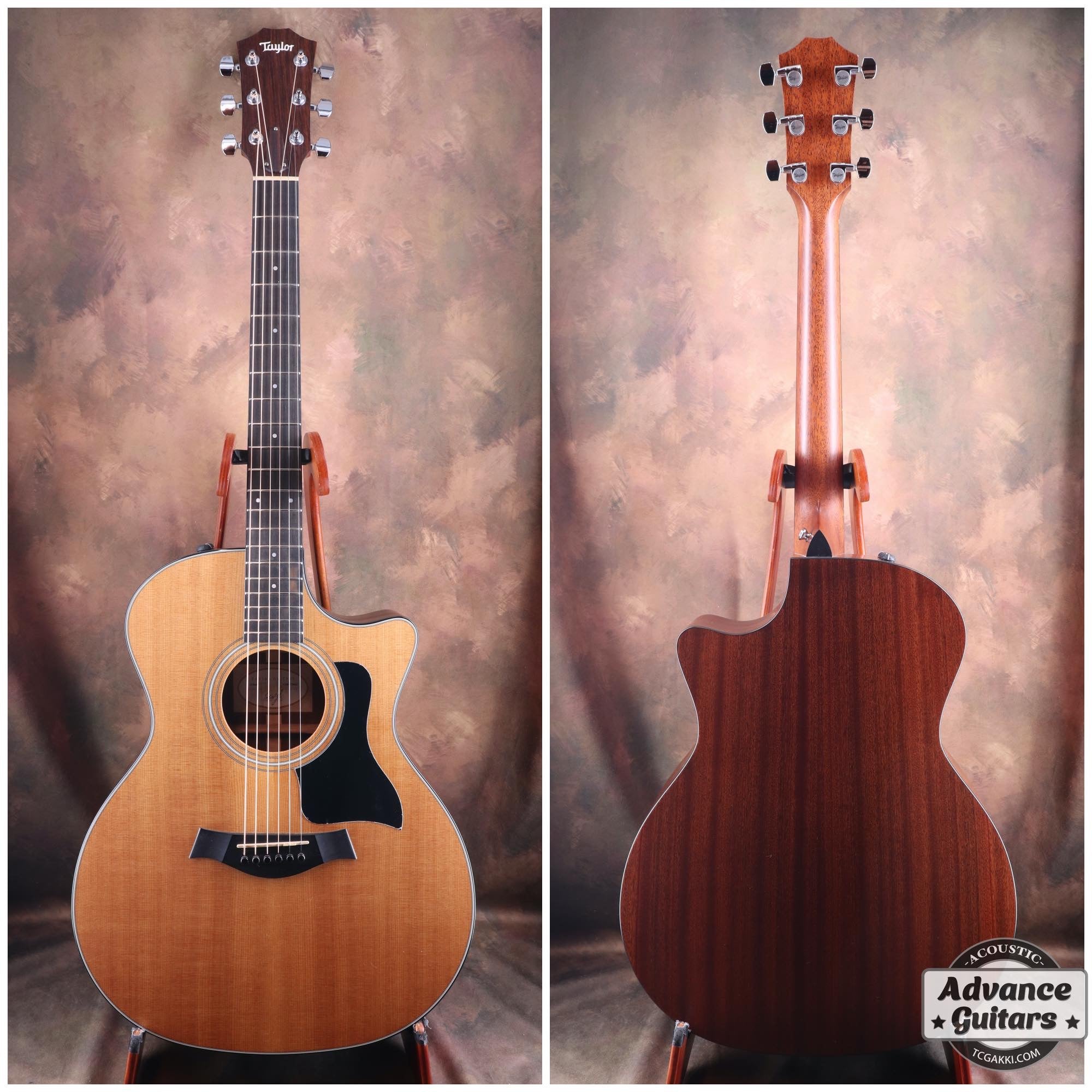 Taylor テイラー 314ce ES1 Taylor 314ce ES1