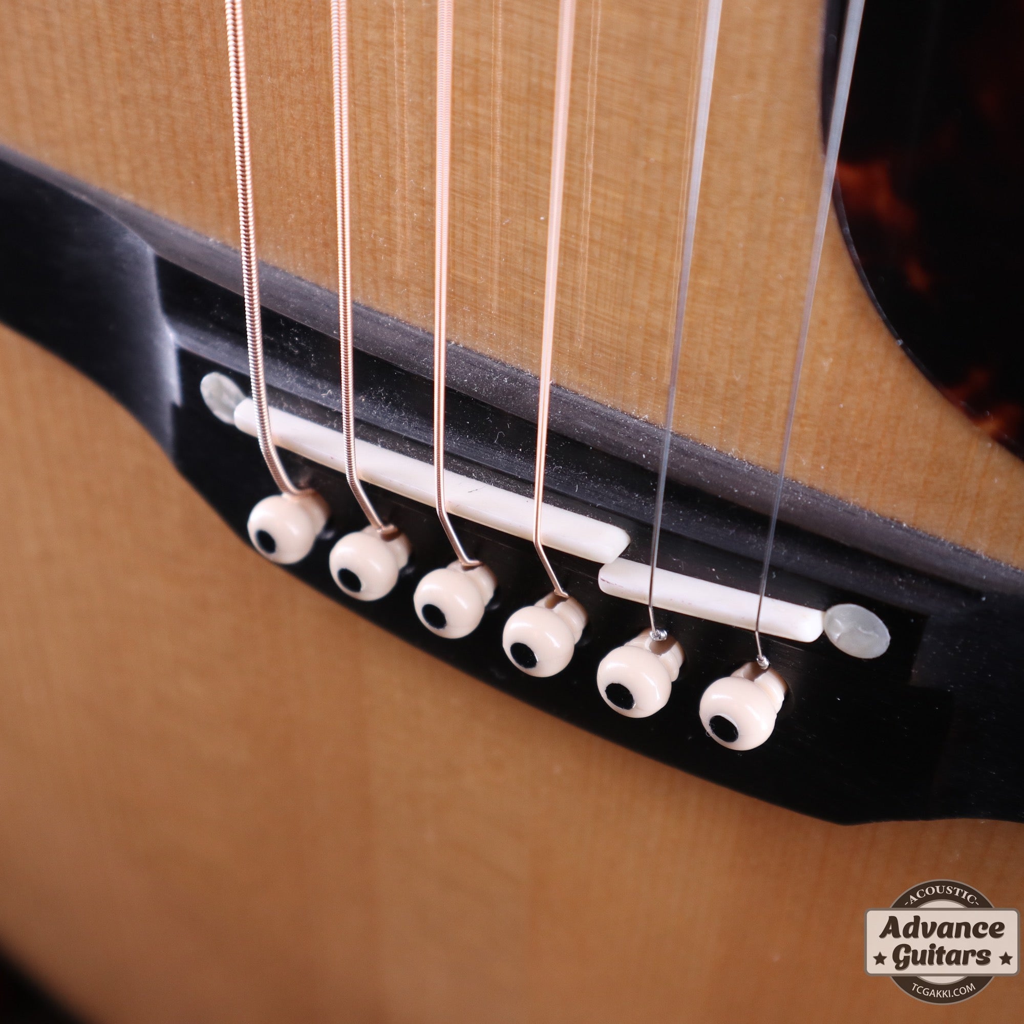 2013年製 DMP500CMAD - DC - TC楽器 - TCGAKKI