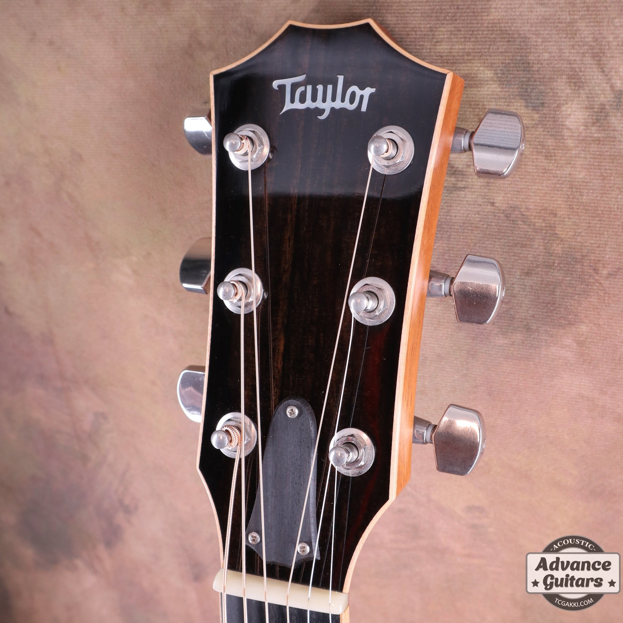 2014年製 814ce ES2 - TC楽器 - TCGAKKI