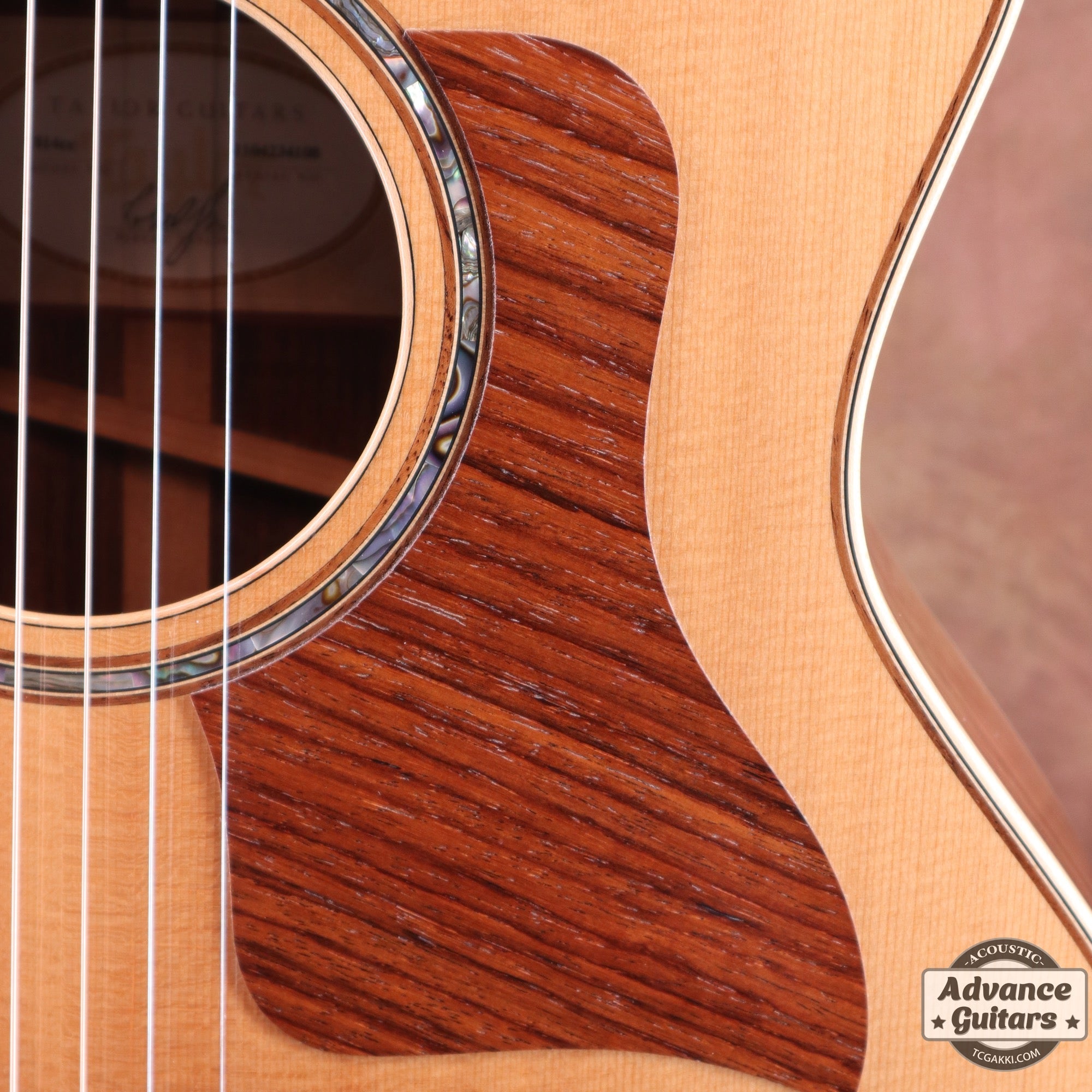 2014年製 814ce ES2 - TC楽器 - TCGAKKI