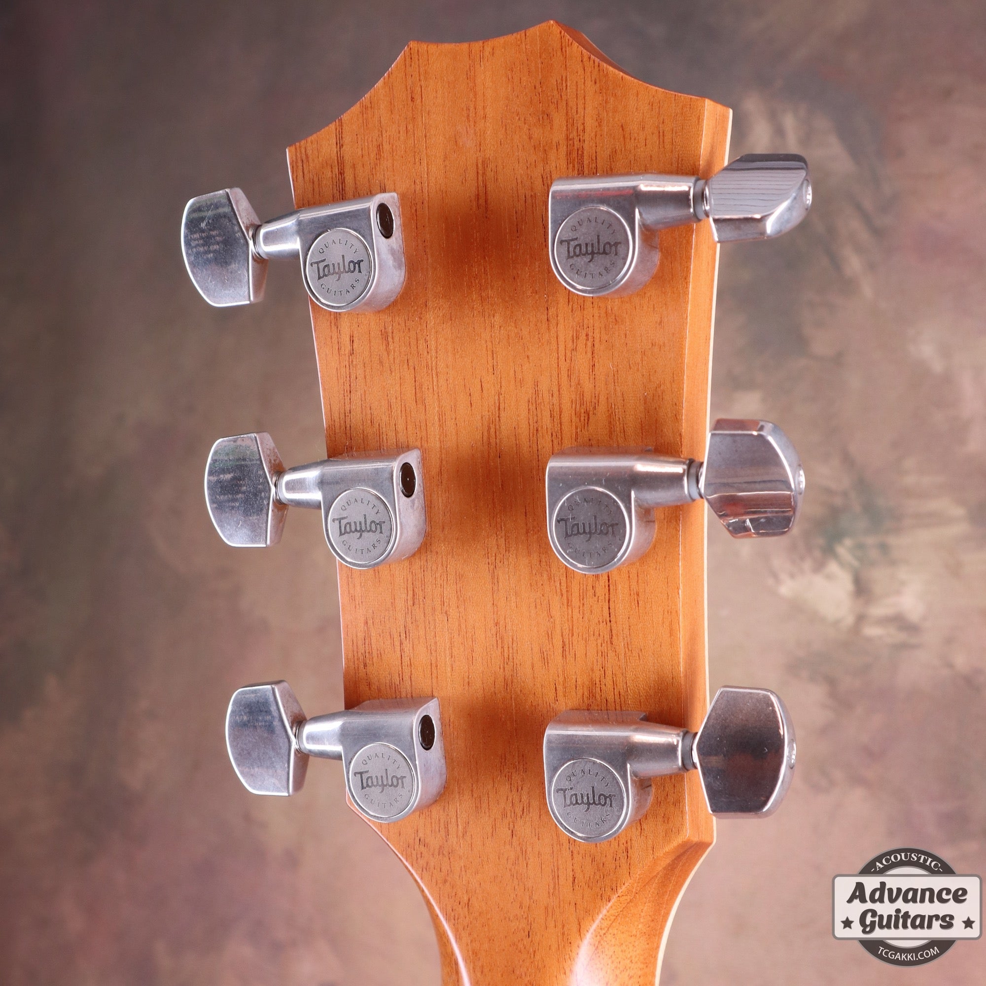 2014年製 814ce ES2 - TC楽器 - TCGAKKI