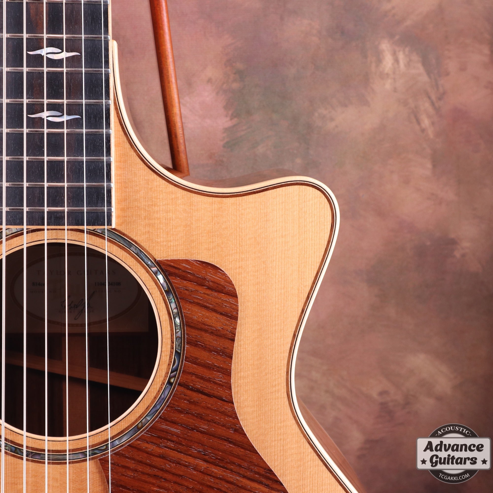 2014年製 814ce ES2 - TC楽器 - TCGAKKI