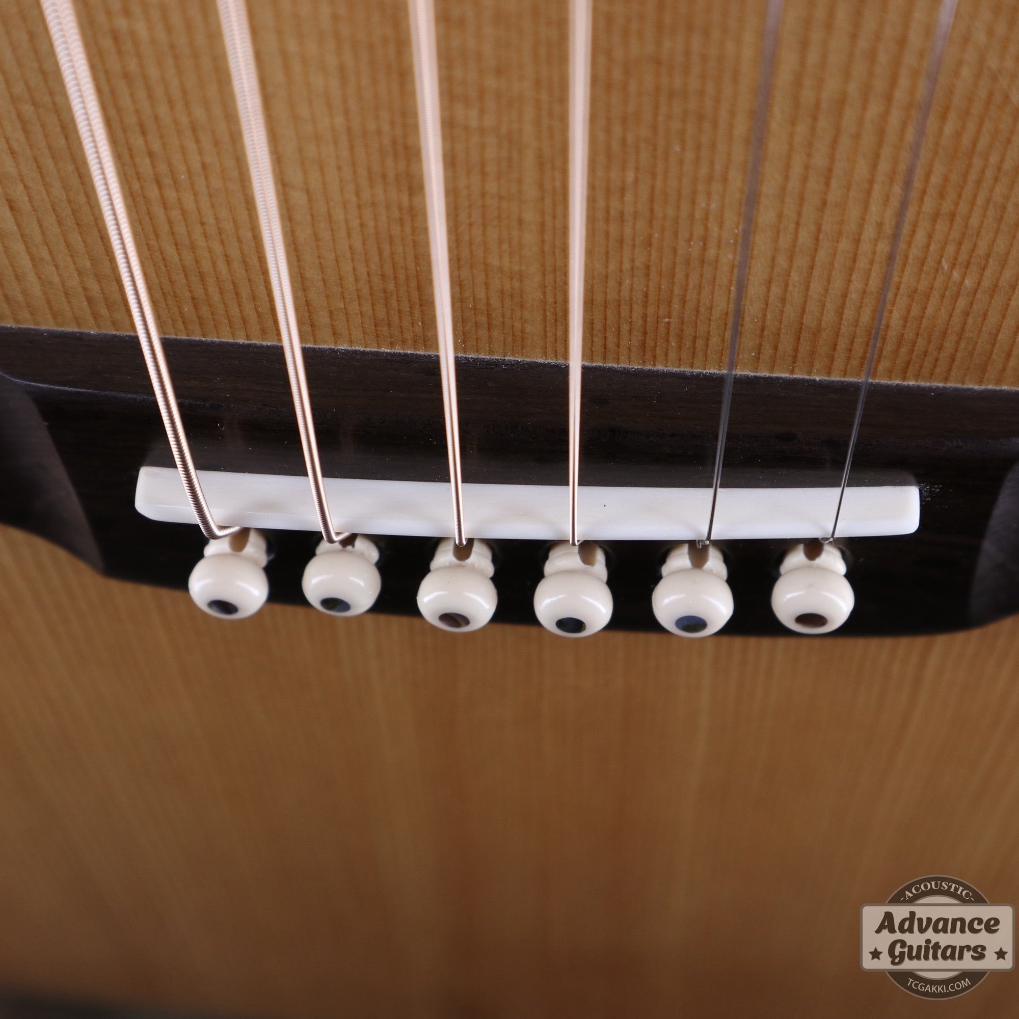 2014年製 BL - 95 - TC楽器 - TCGAKKI