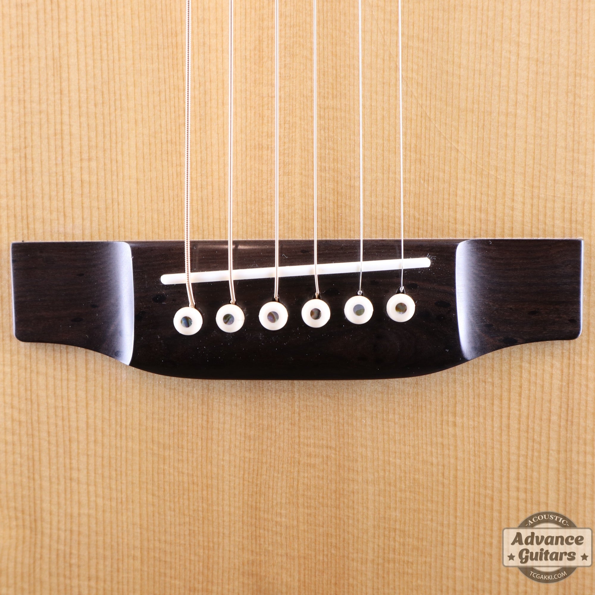 2014年製 BL - 95 - TC楽器 - TCGAKKI