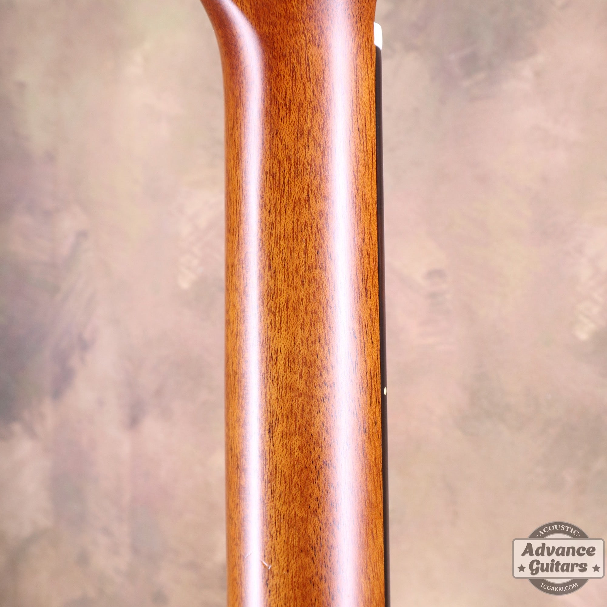 2014年製 BL - 95 - TC楽器 - TCGAKKI