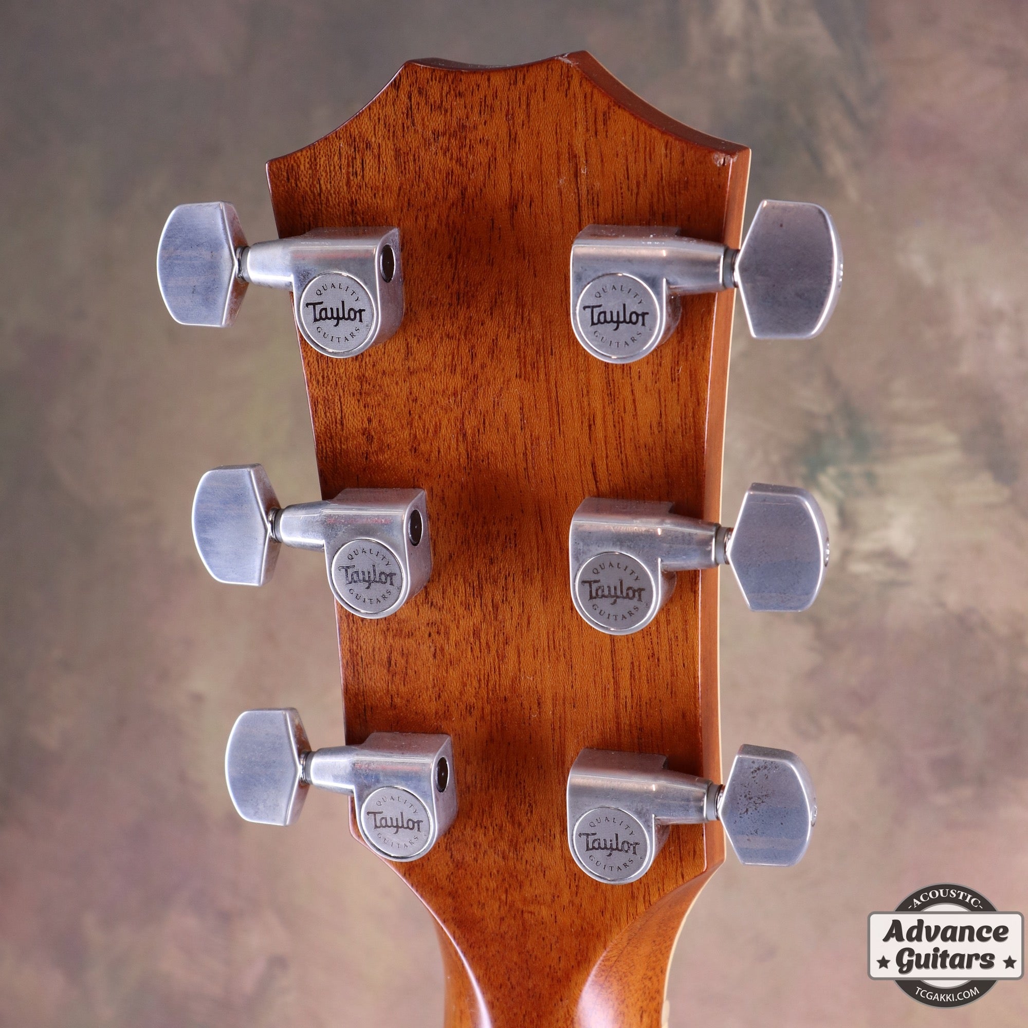 2015年製 814ce ES2 - TC楽器 - TCGAKKI