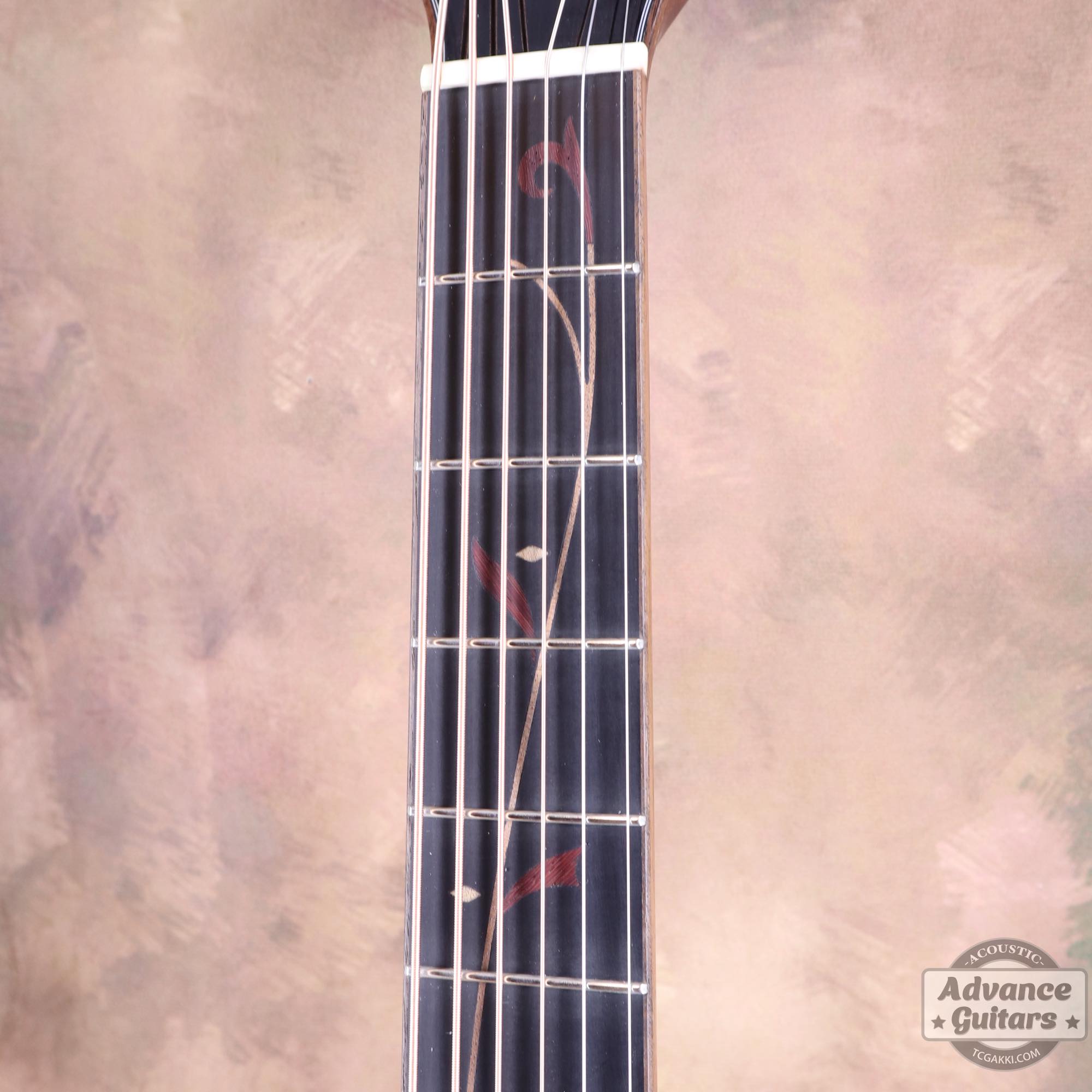 2016年製 AE255BT - NT - TC楽器 - TCGAKKI