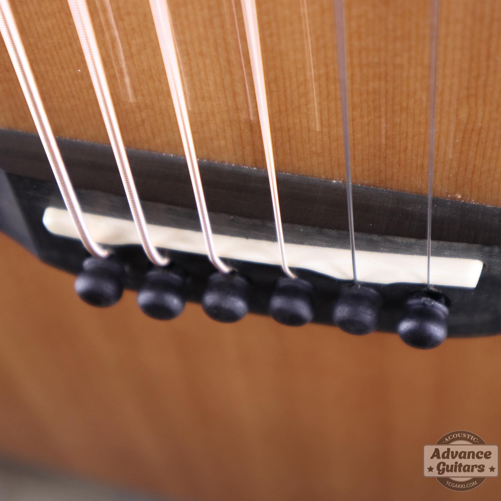 2016年製 AE255BT - NT - TC楽器 - TCGAKKI