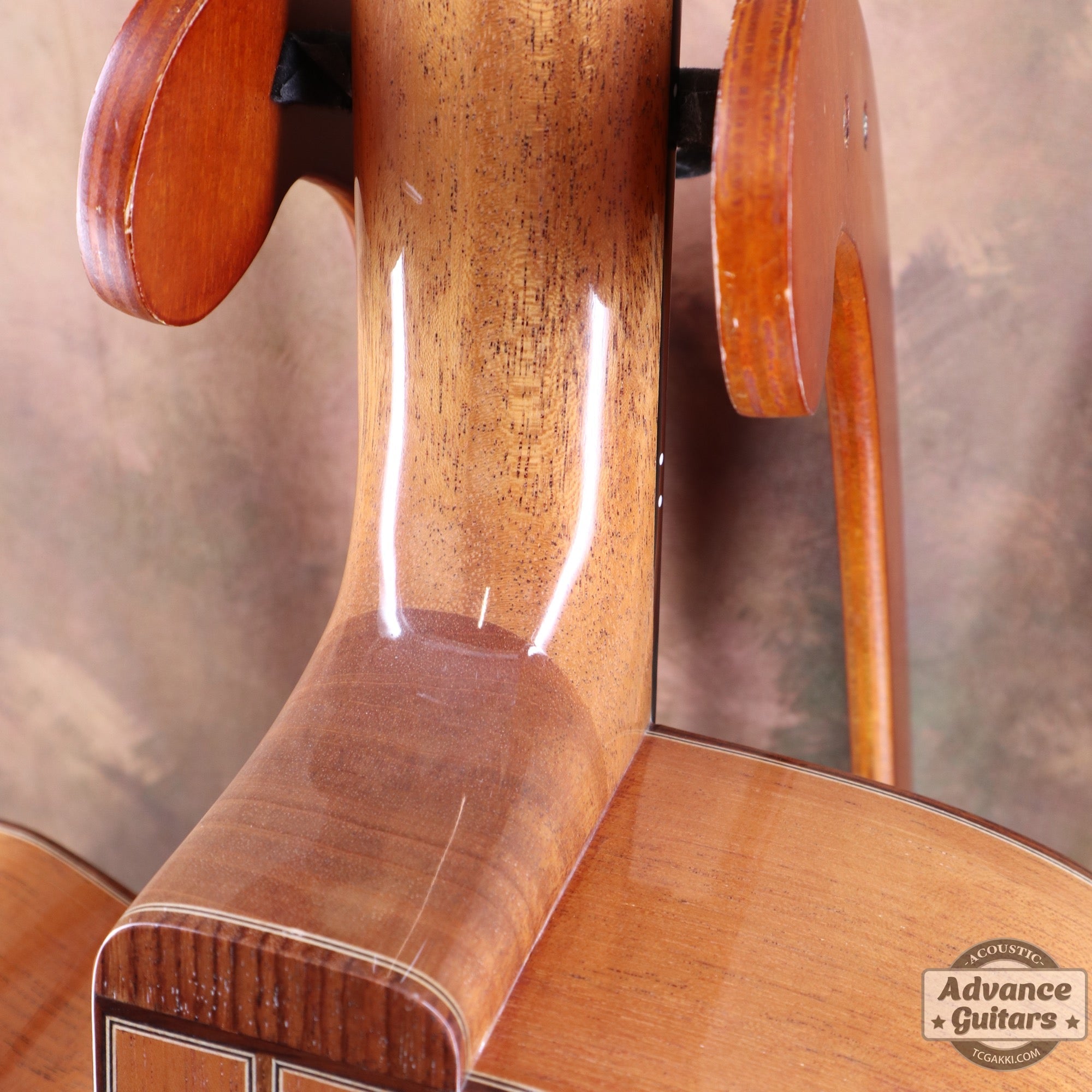 2016年製 Custom Shop YF - OM18C 道前暁伸 - TC楽器 - TCGAKKI