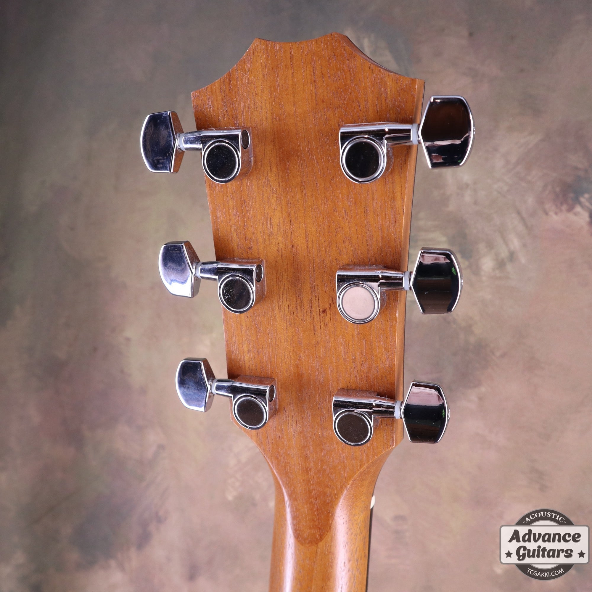 2017年製 214ce - K - TC楽器 - TCGAKKI