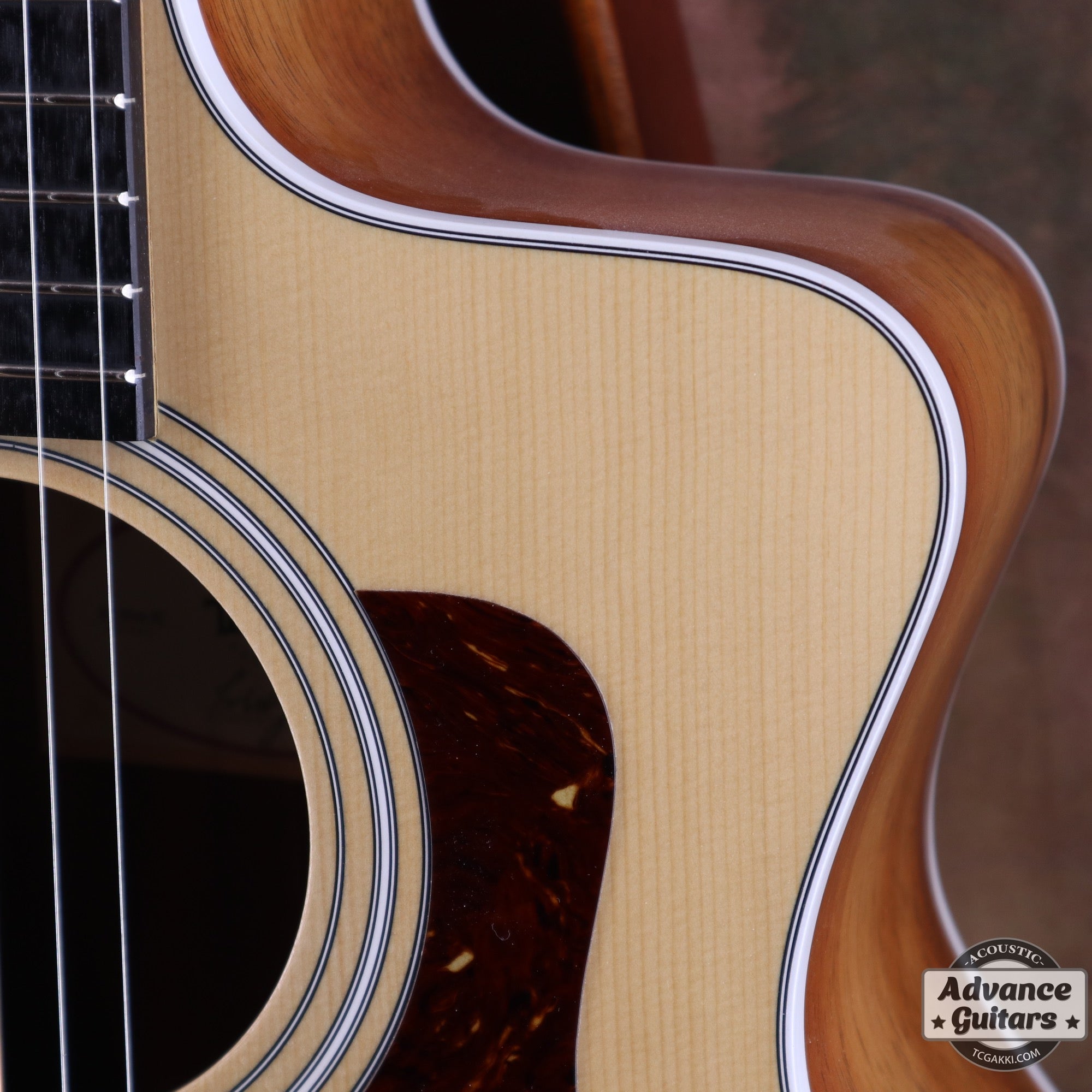 2017年製 214ce - K - TC楽器 - TCGAKKI