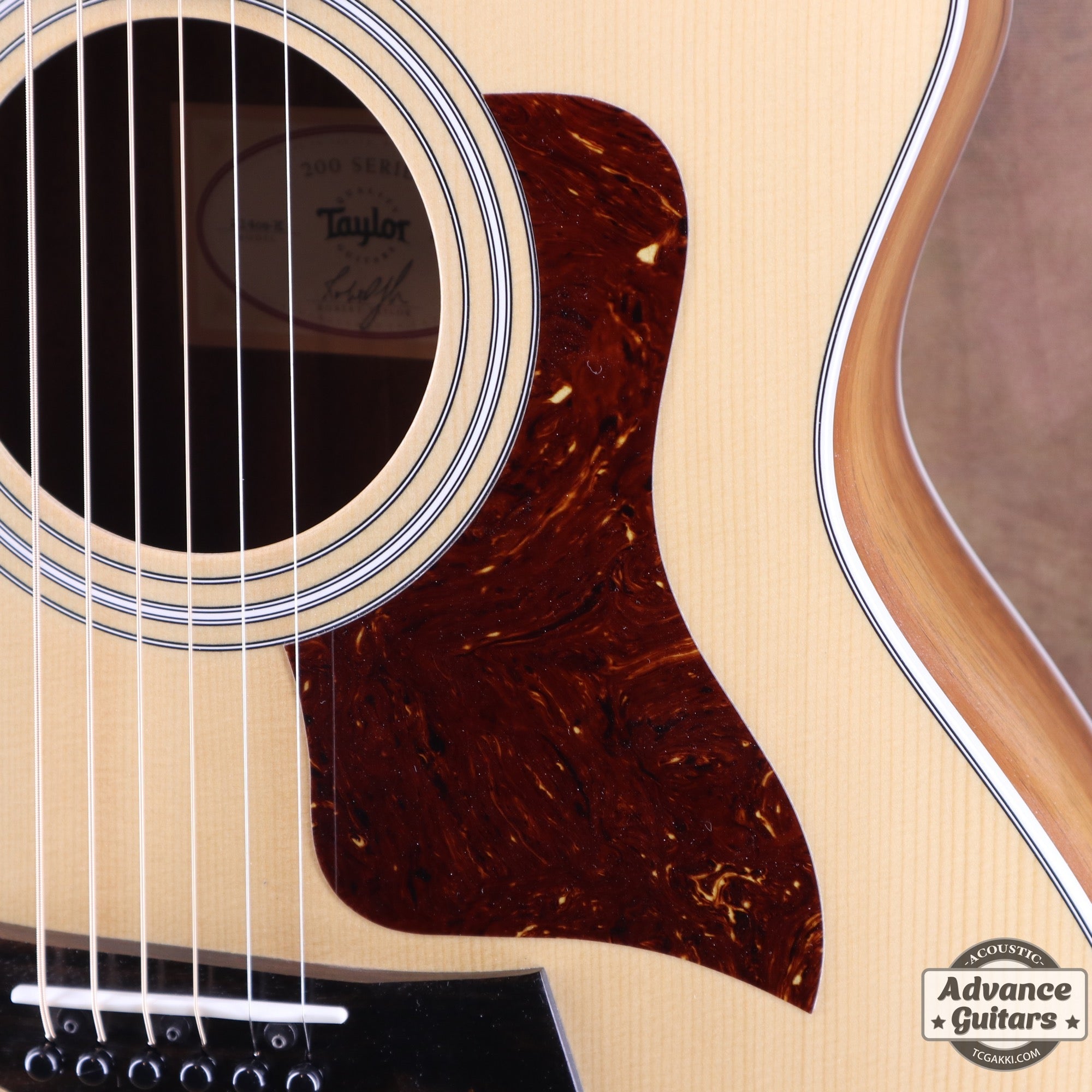 2017年製 214ce - K - TC楽器 - TCGAKKI