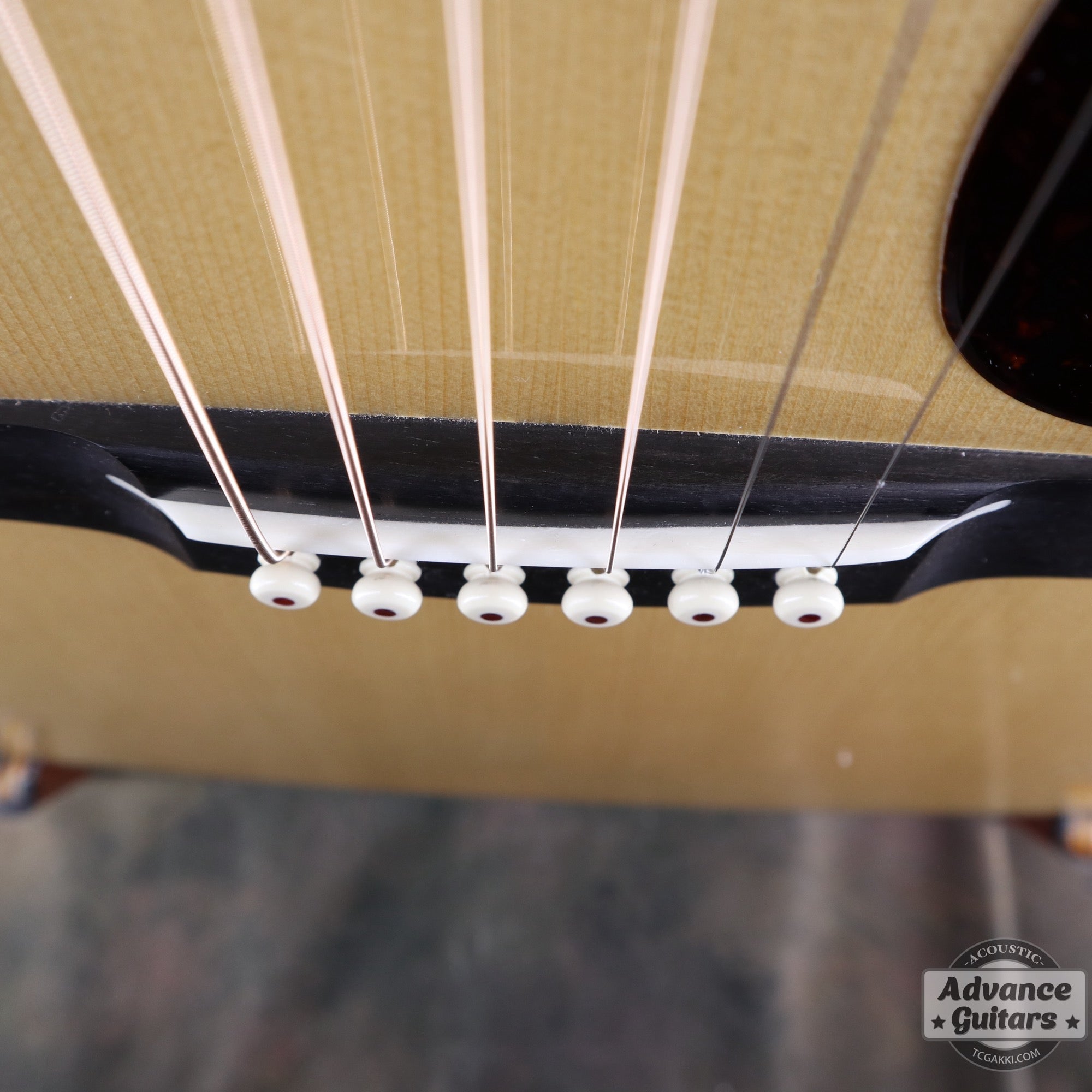 2018年製 CTM D - 28 Guatemalan Rosewood - TC楽器 - TCGAKKI