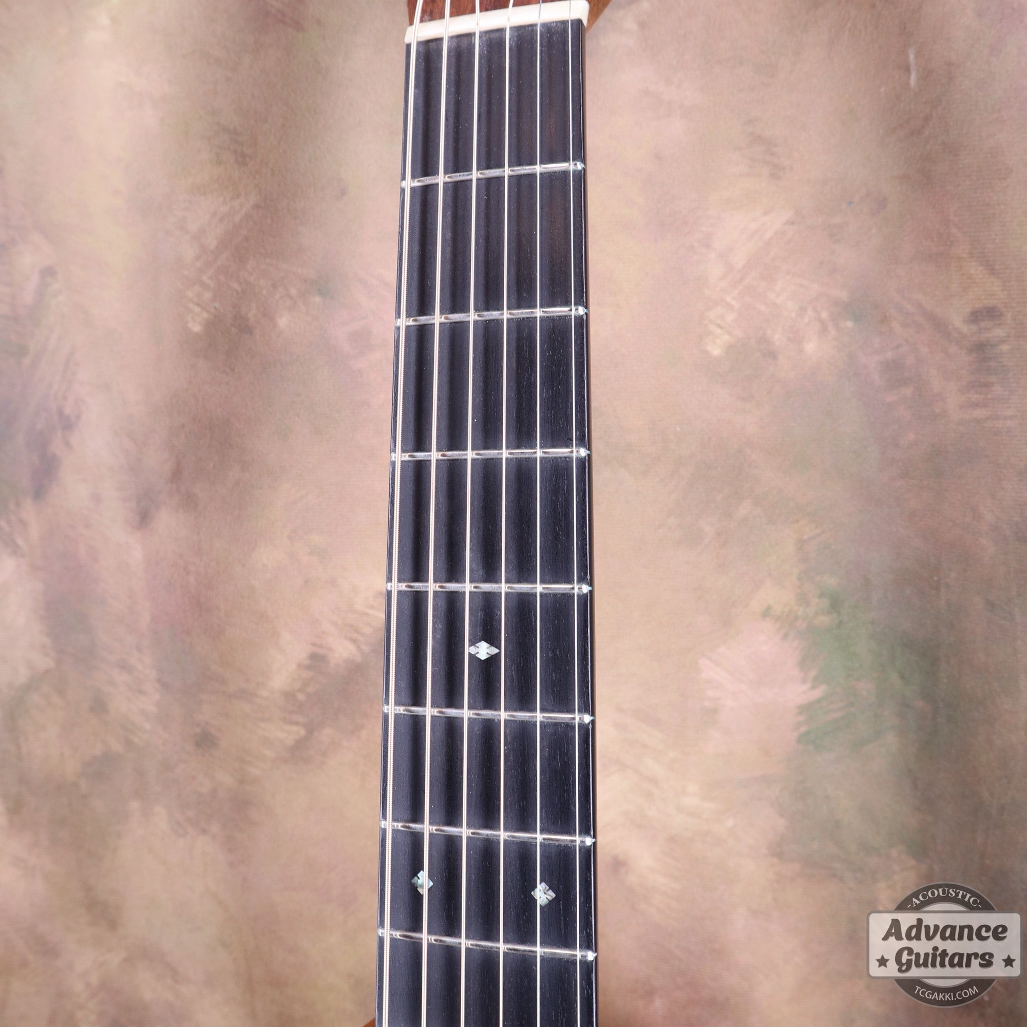 2018年製 CTM D - 28 Guatemalan Rosewood - TC楽器 - TCGAKKI