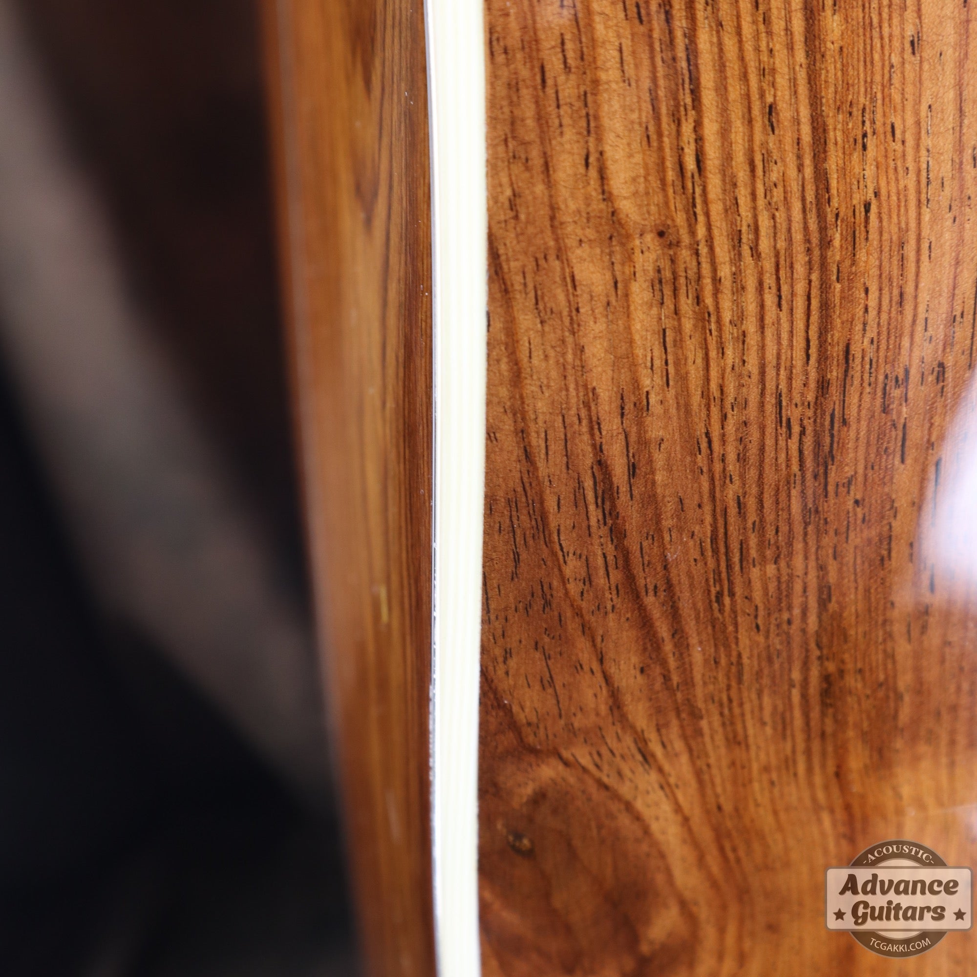 2018年製 CTM D - 28 Guatemalan Rosewood - TC楽器 - TCGAKKI