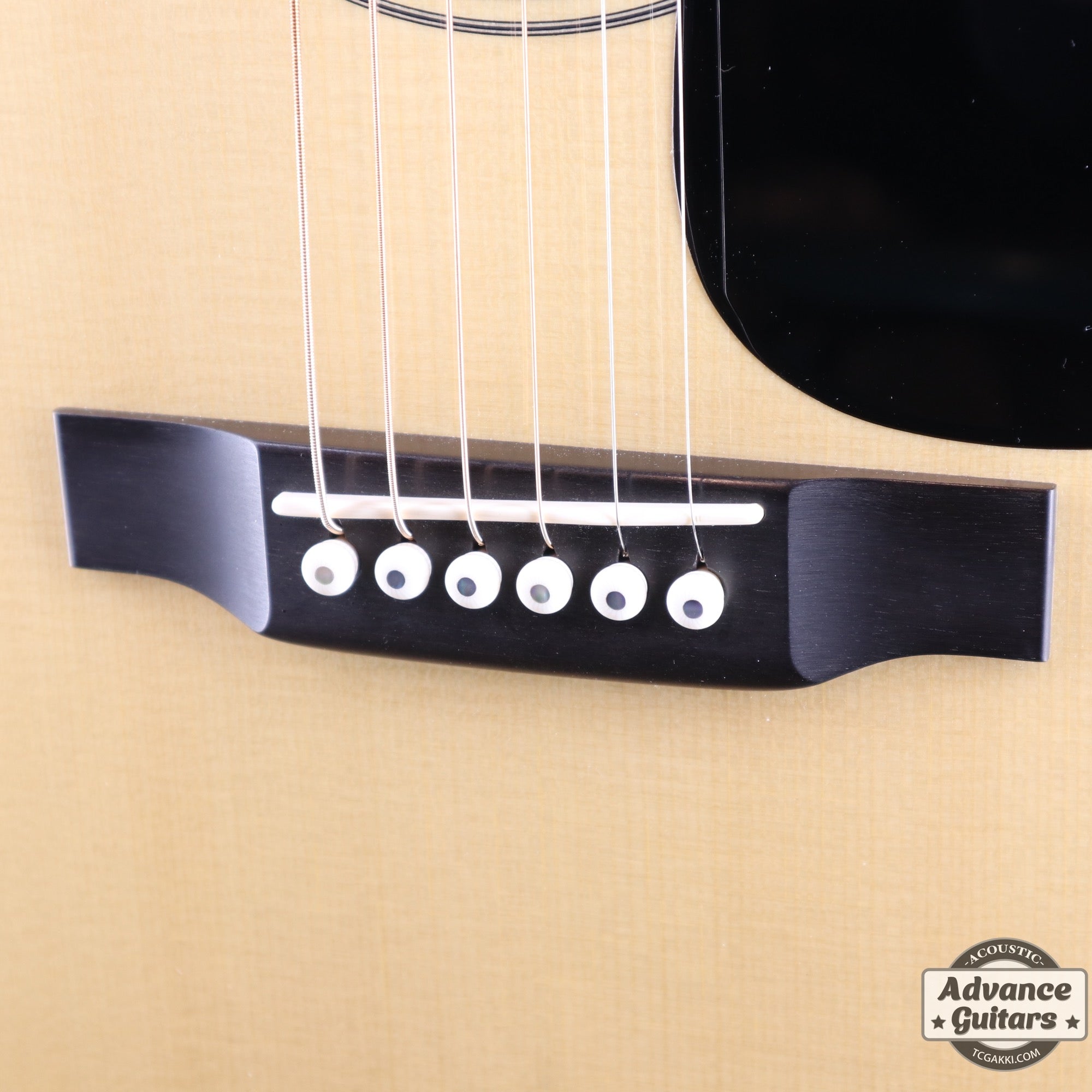 2018年製 HD - 450 Custom - TC楽器 - TCGAKKI