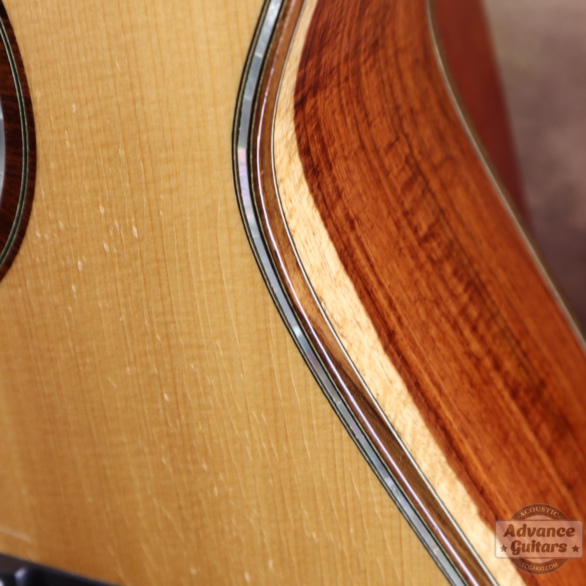 2019年製 97 OM the "Nine - Tailed Fox" - TC楽器 - TCGAKKI