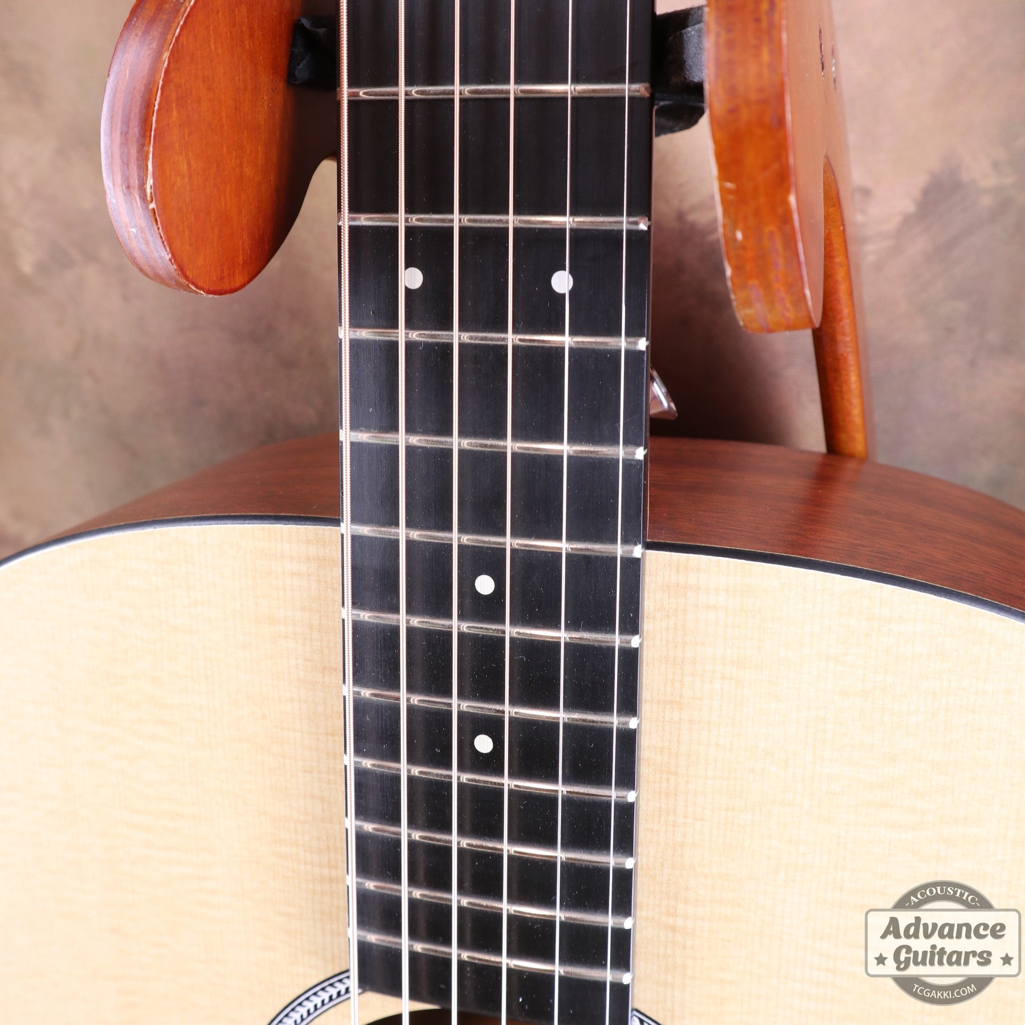 2019年製 DXM - TC楽器 - TCGAKKI