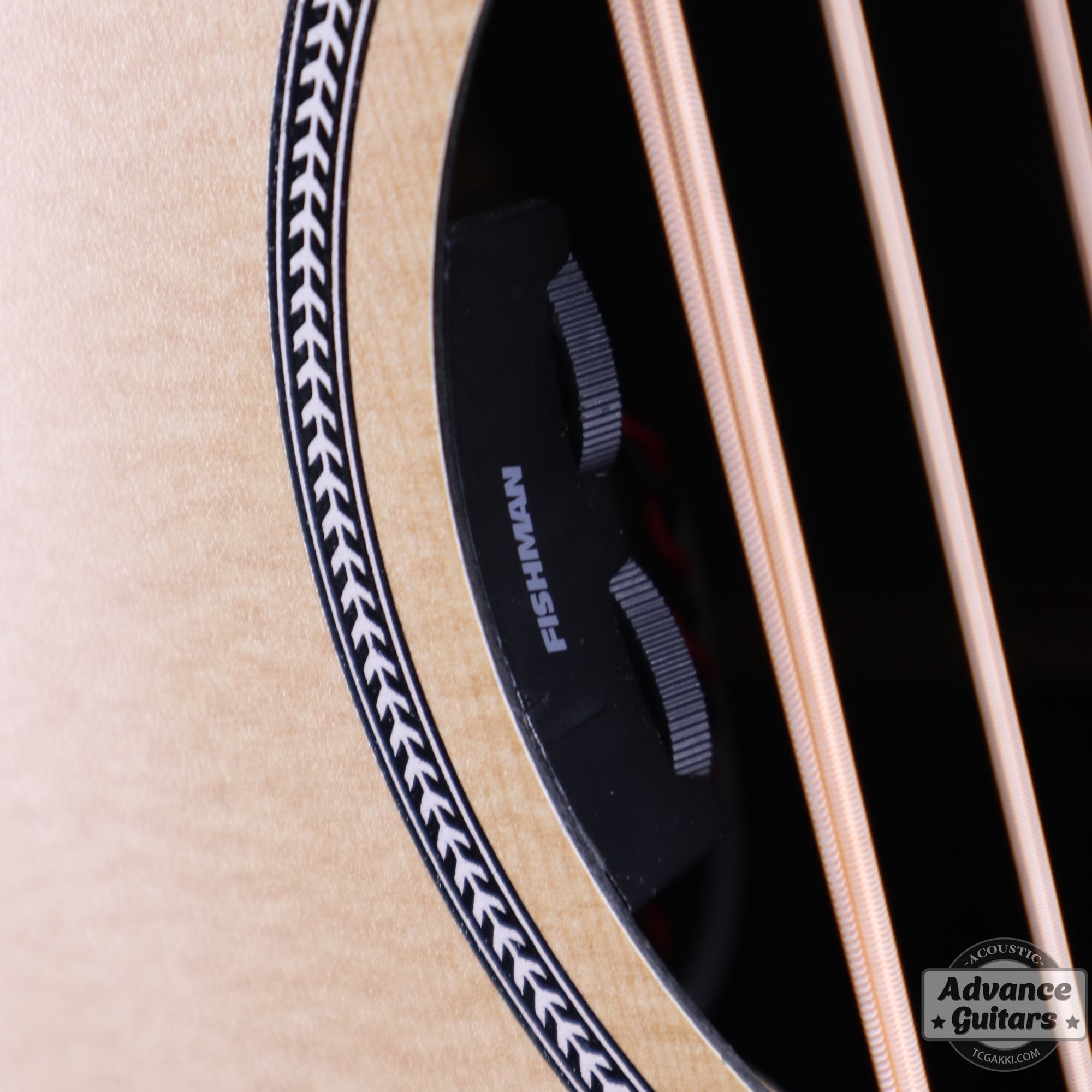 2019年製 DXM - TC楽器 - TCGAKKI