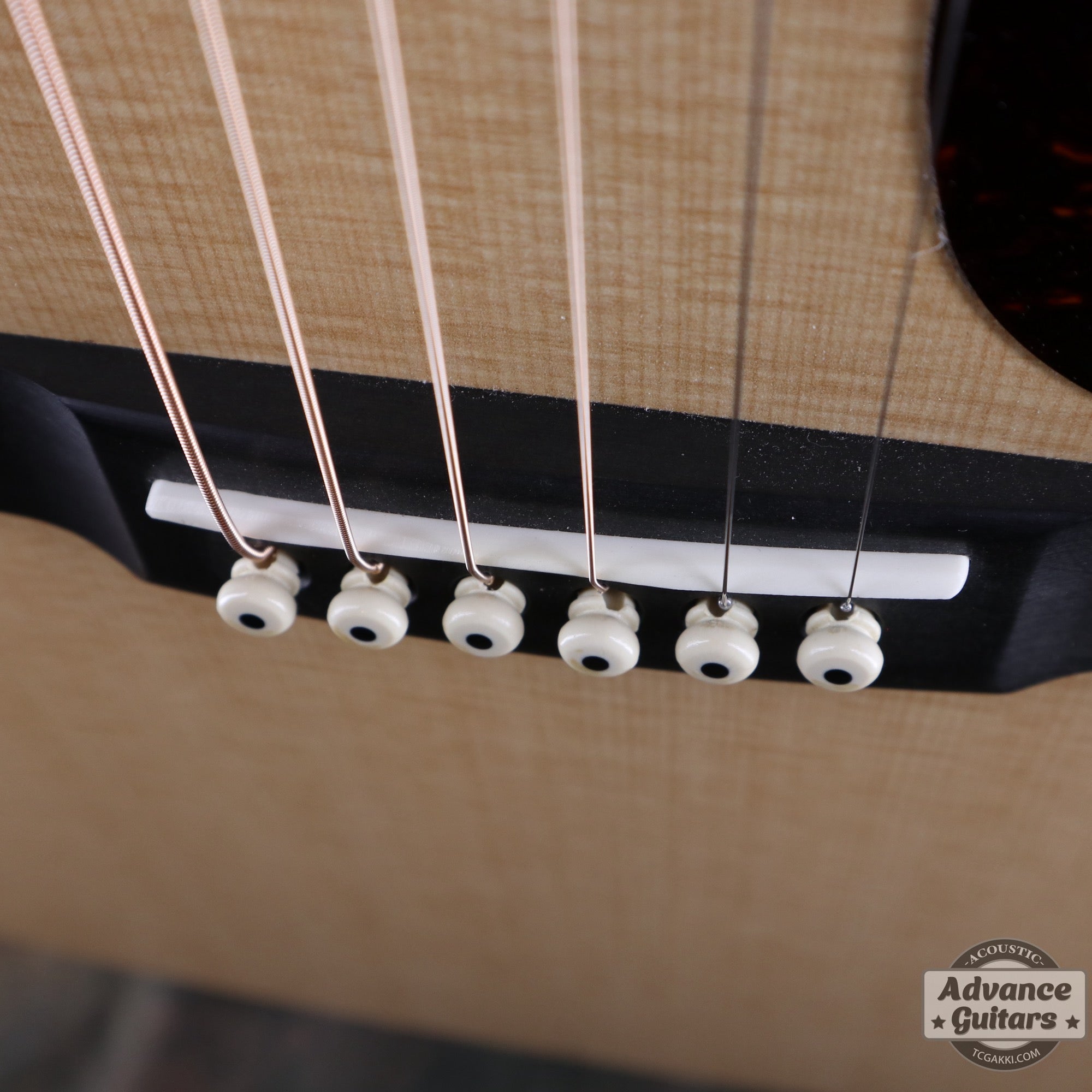 2019年製 DXM - TC楽器 - TCGAKKI