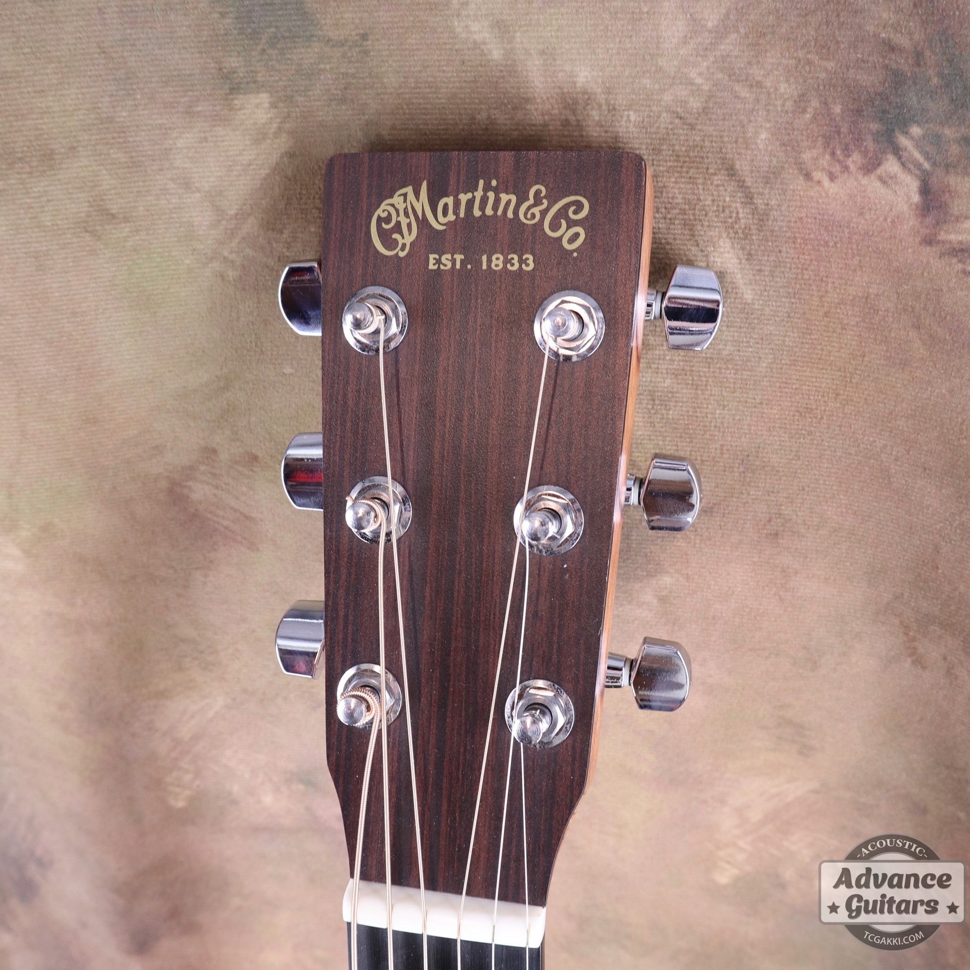 2019年製 DXM - TC楽器 - TCGAKKI