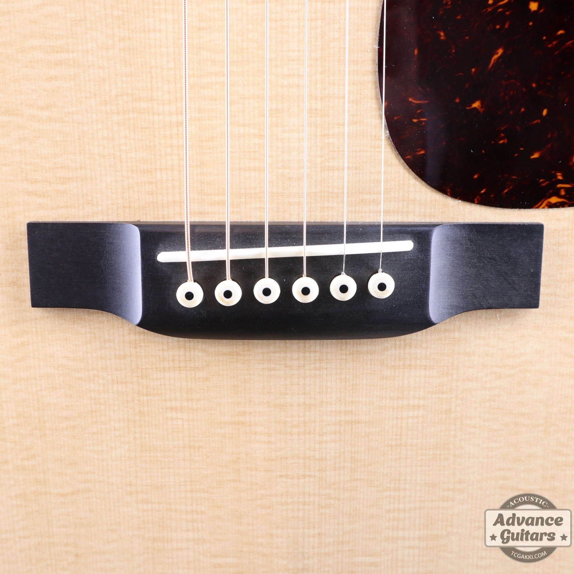 2019年製 DXM - TC楽器 - TCGAKKI