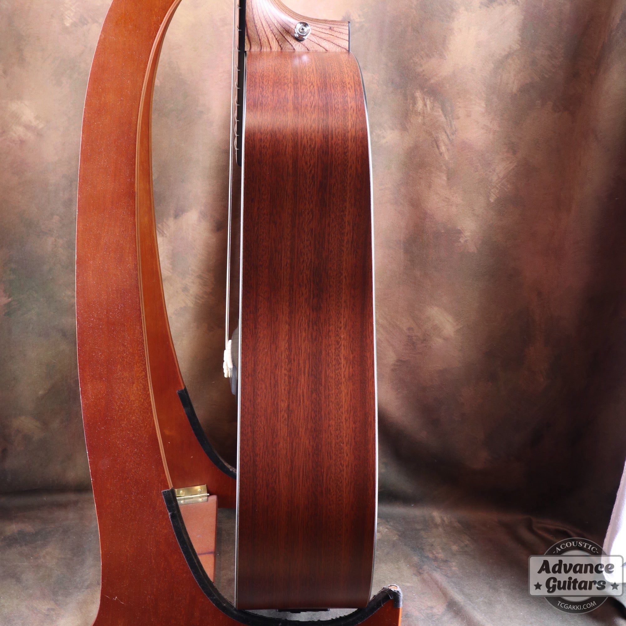 2019年製 DXM - TC楽器 - TCGAKKI