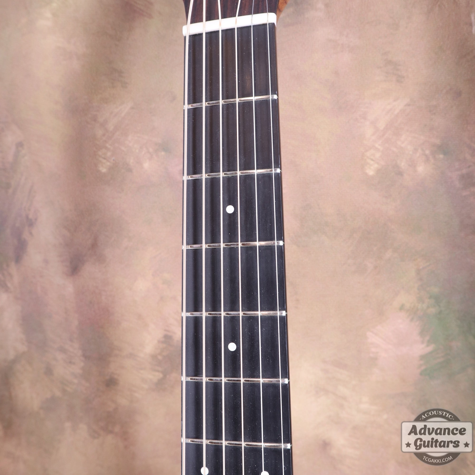 2019年製 DXM - TC楽器 - TCGAKKI