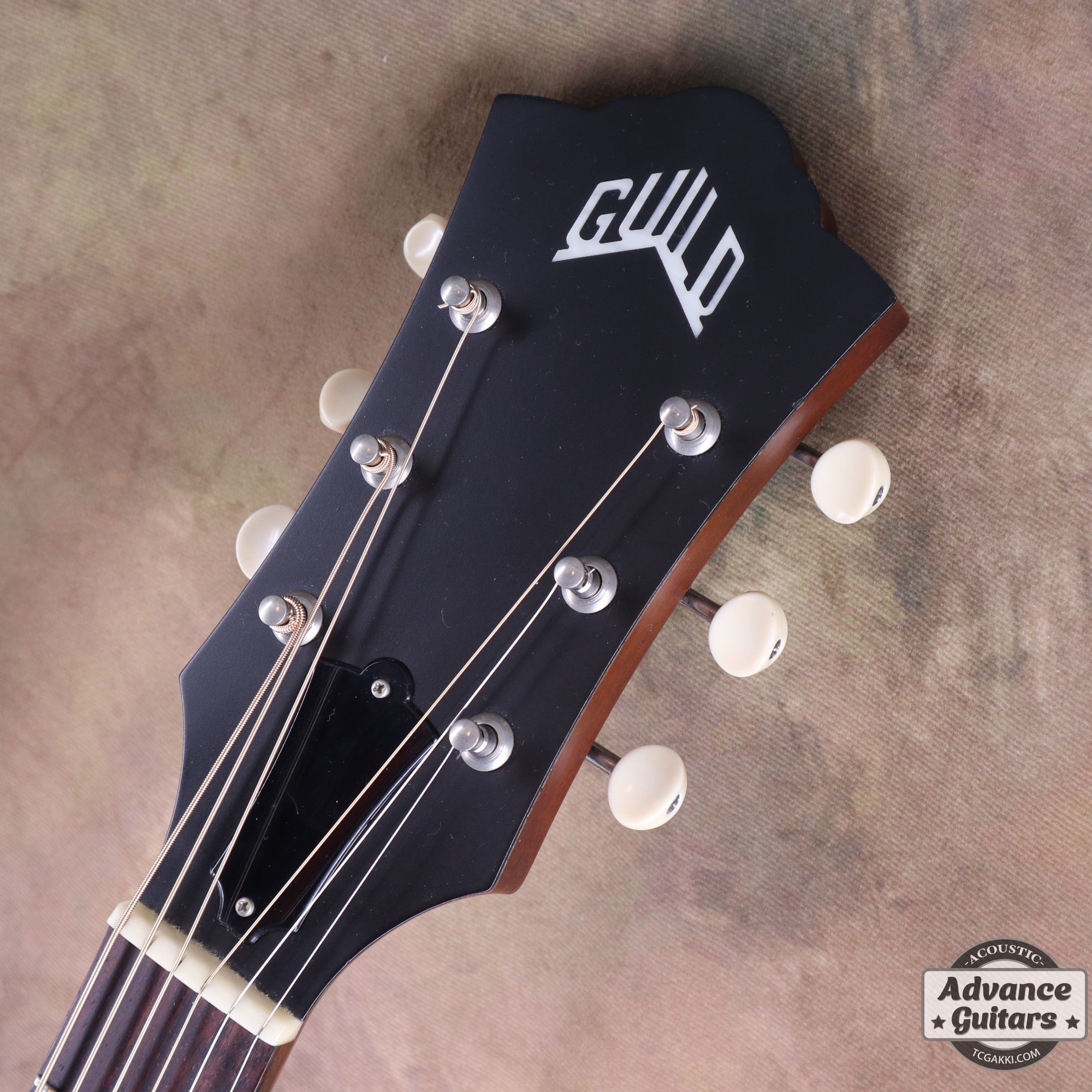 2019年製 F - 40 Standard Natural with L.R.Baggs Anthem - TC楽器 - TCGAKKI