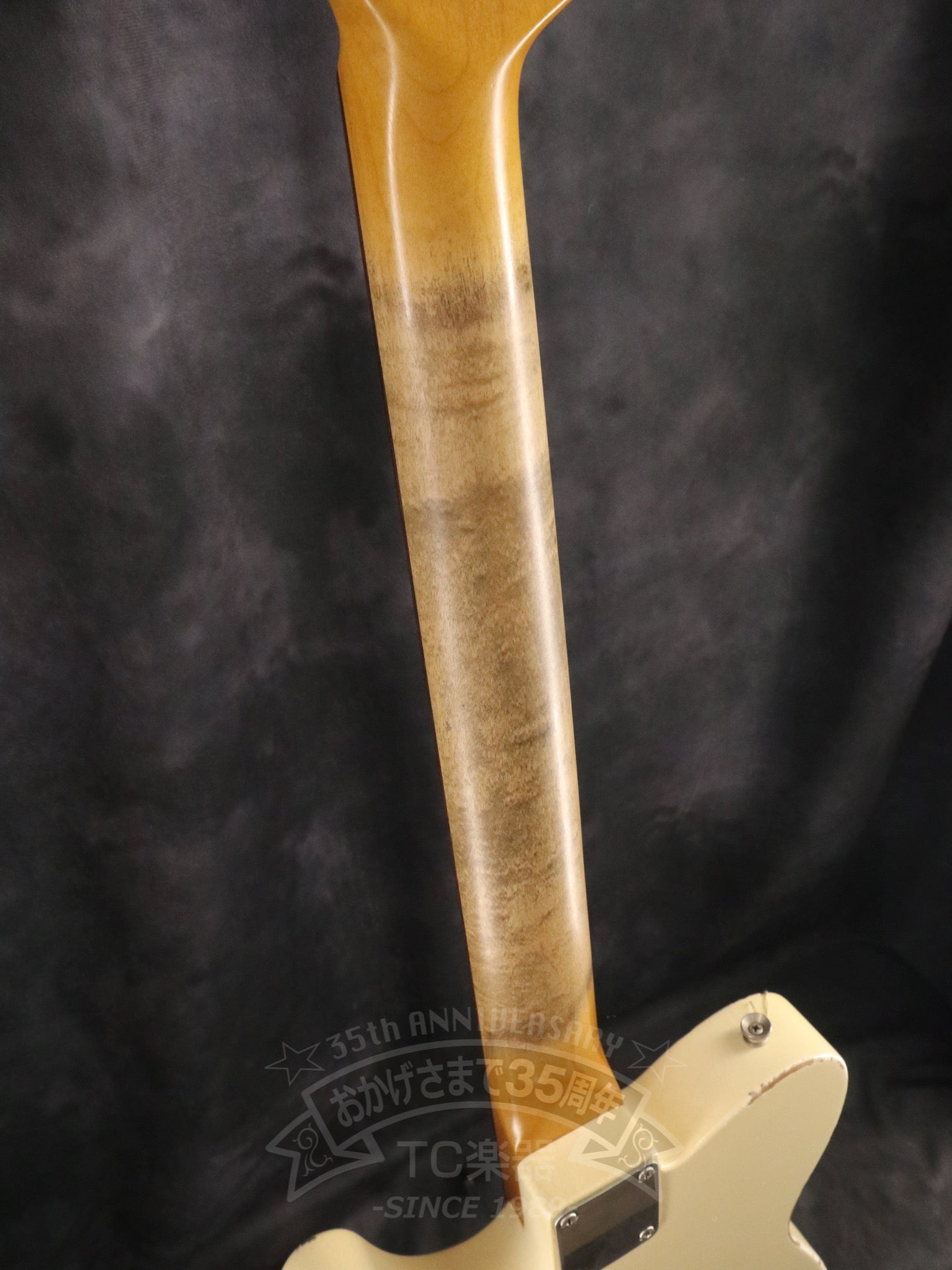 2020 Gatton White / Rose - TC楽器 - TCGAKKI