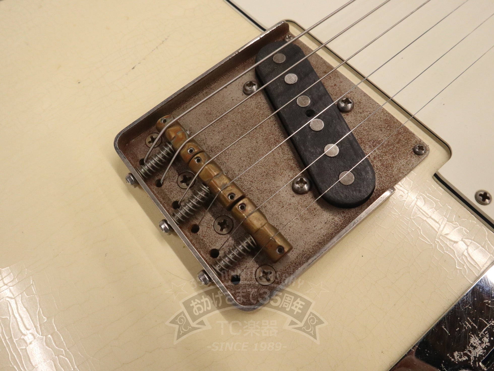 2020 Gatton White / Rose - TC楽器 - TCGAKKI