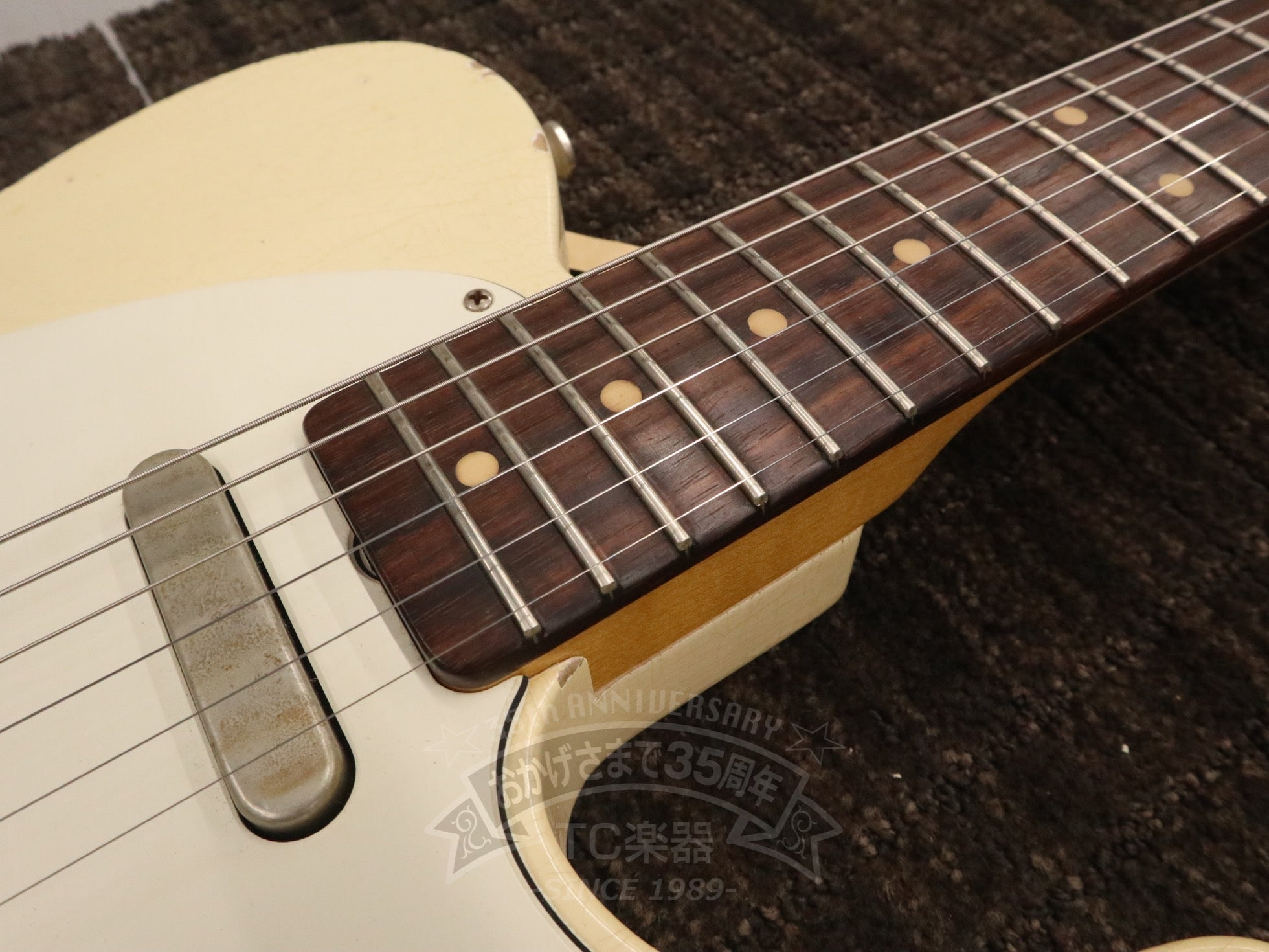 2020 Gatton White / Rose - TC楽器 - TCGAKKI
