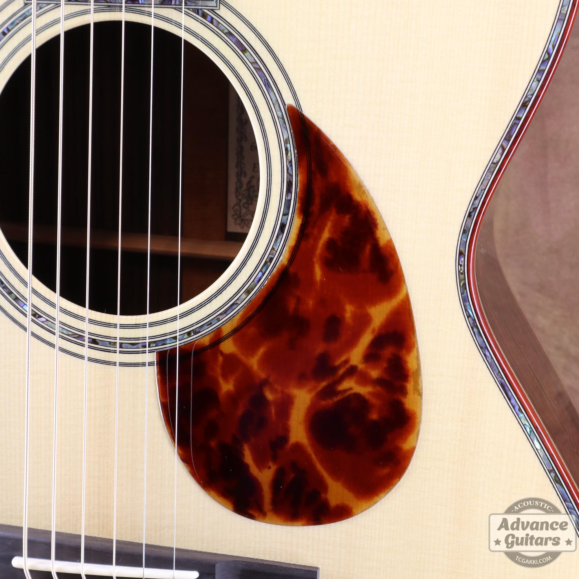 2020s EC EMBLEM CW 60TH ANNIVERSARY - TC楽器 - TCGAKKI