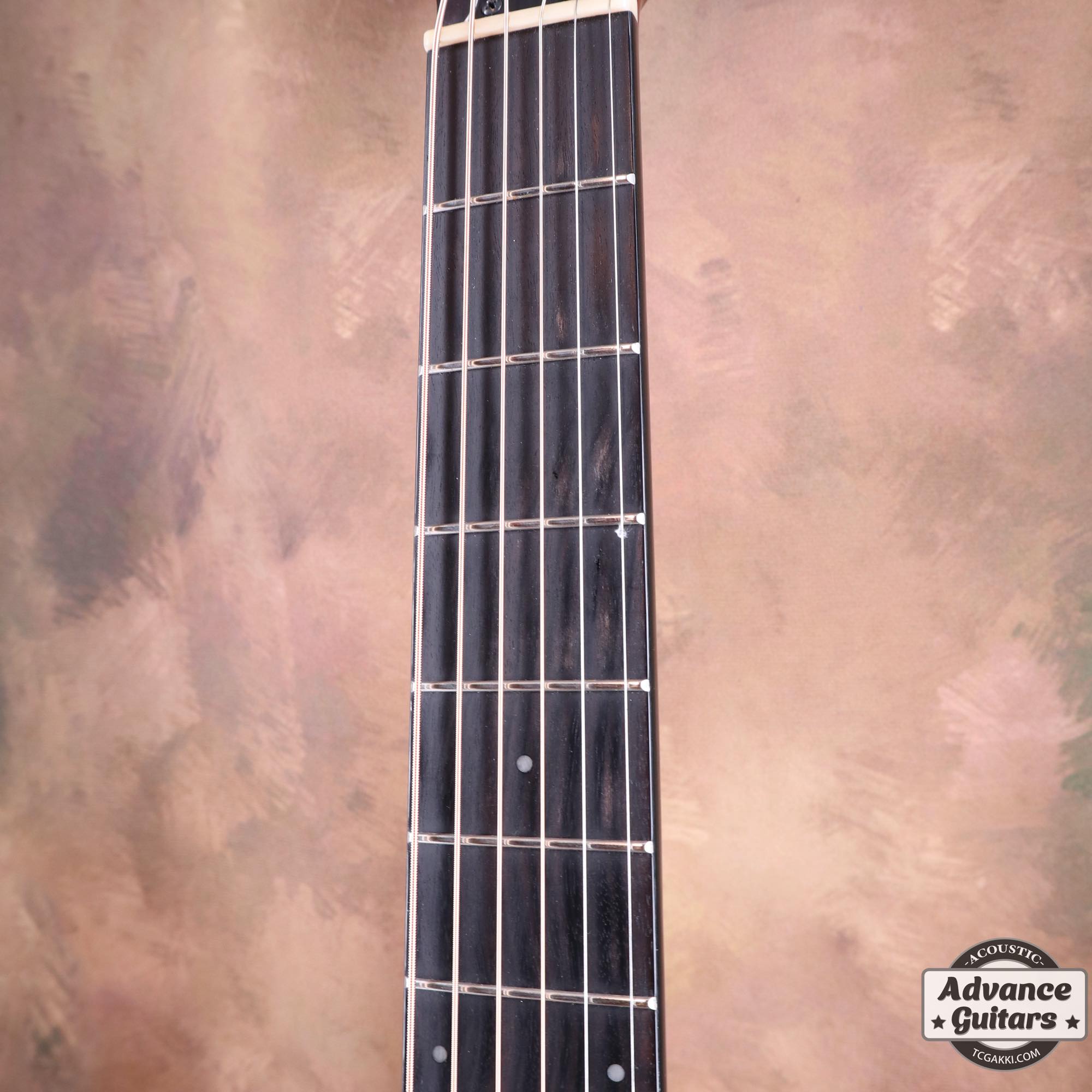 2020S FG5 - TC楽器 - TCGAKKI