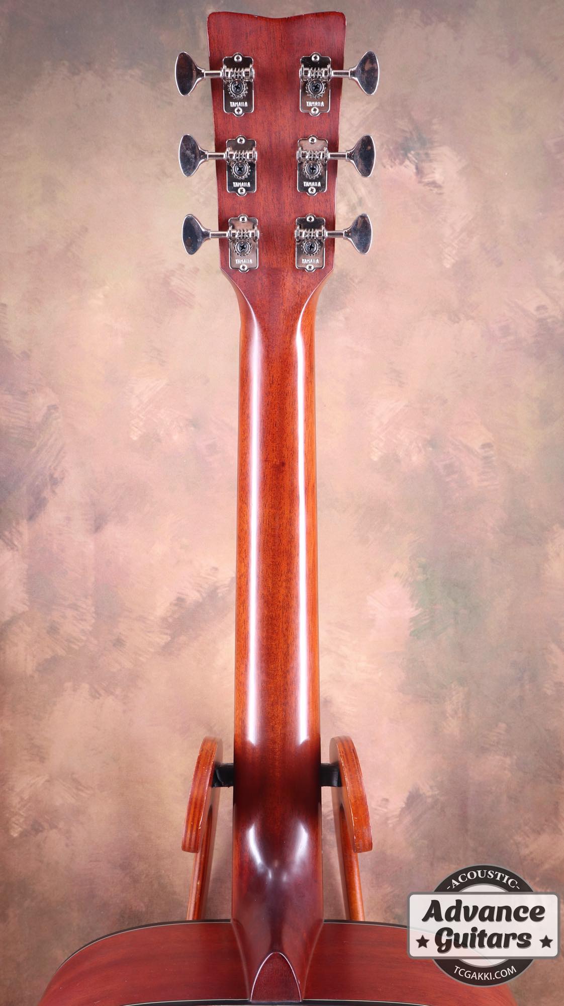 2020S FG5 - TC楽器 - TCGAKKI