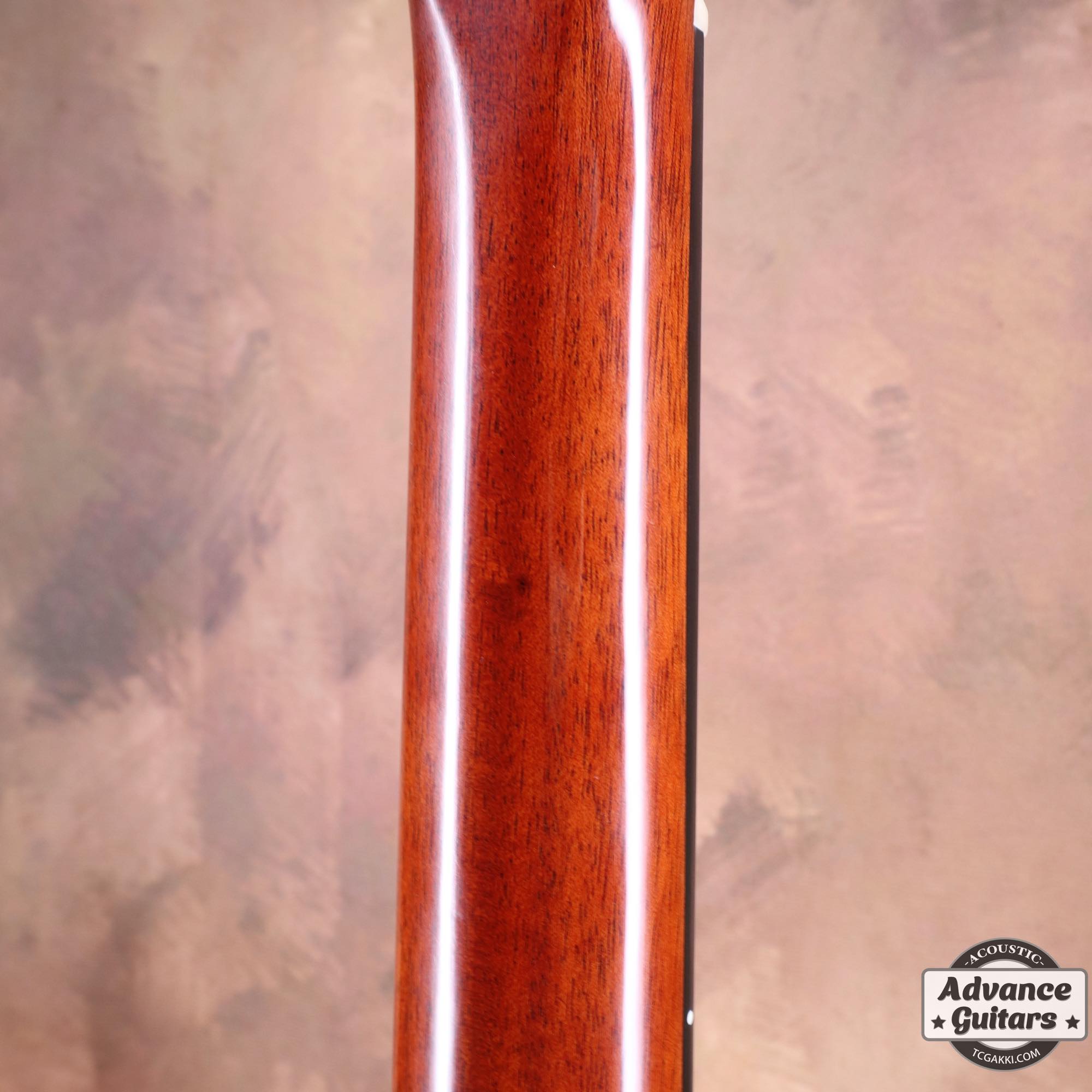 2020S FG5 - TC楽器 - TCGAKKI